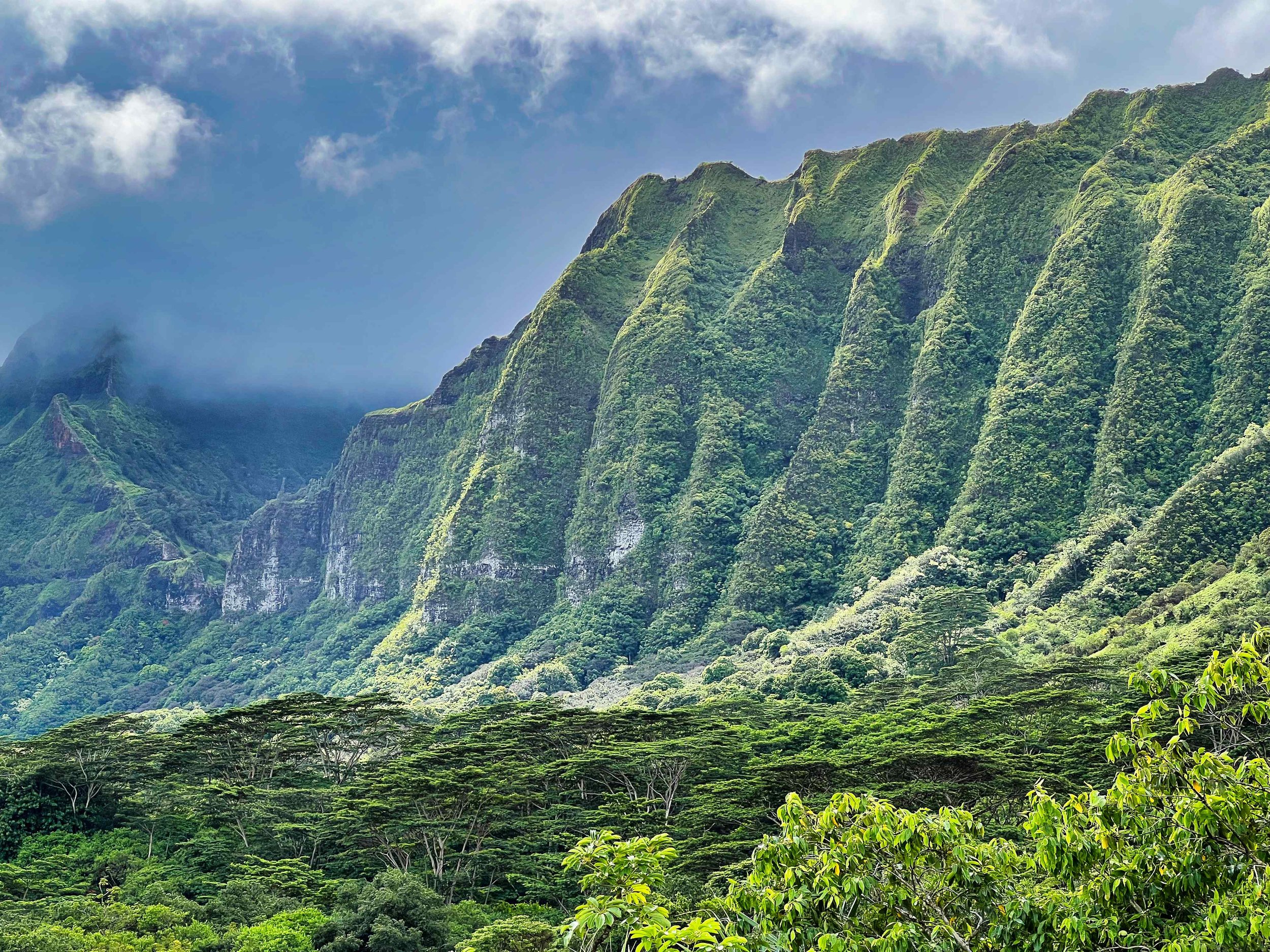 Hawaii-Ho’omaluhia Botanical Garden.jpeg