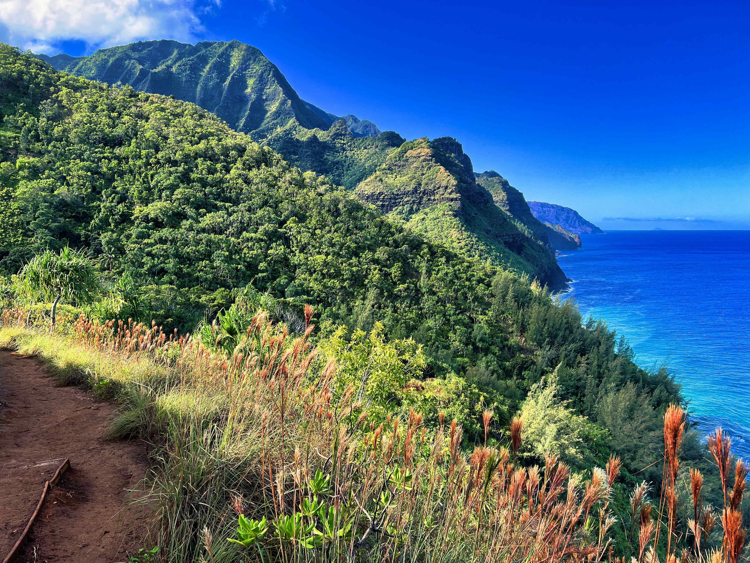 Hawaii-Kalalau Trail.jpeg