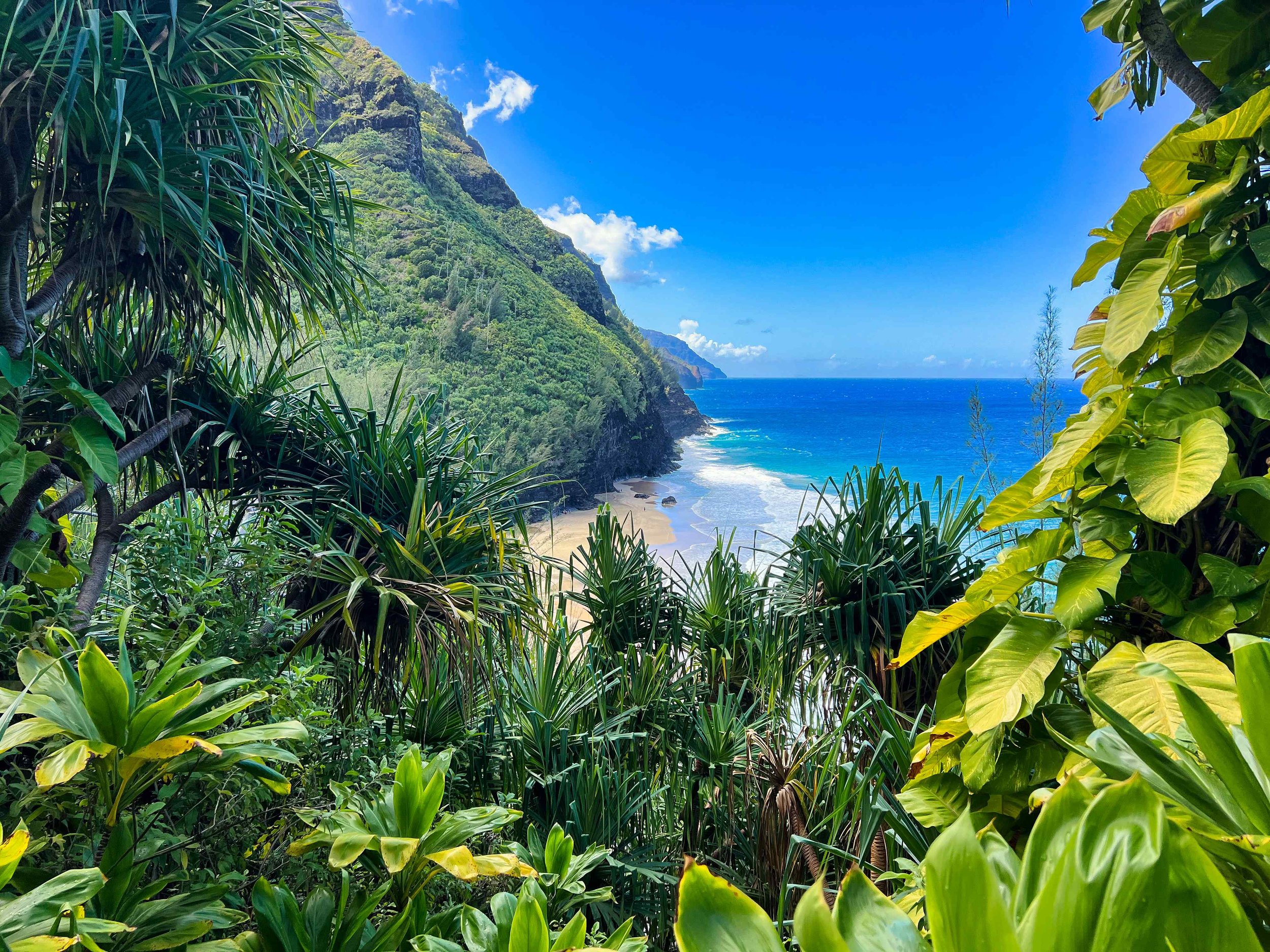 Hawaii-plage-Kalalau Trail.jpeg