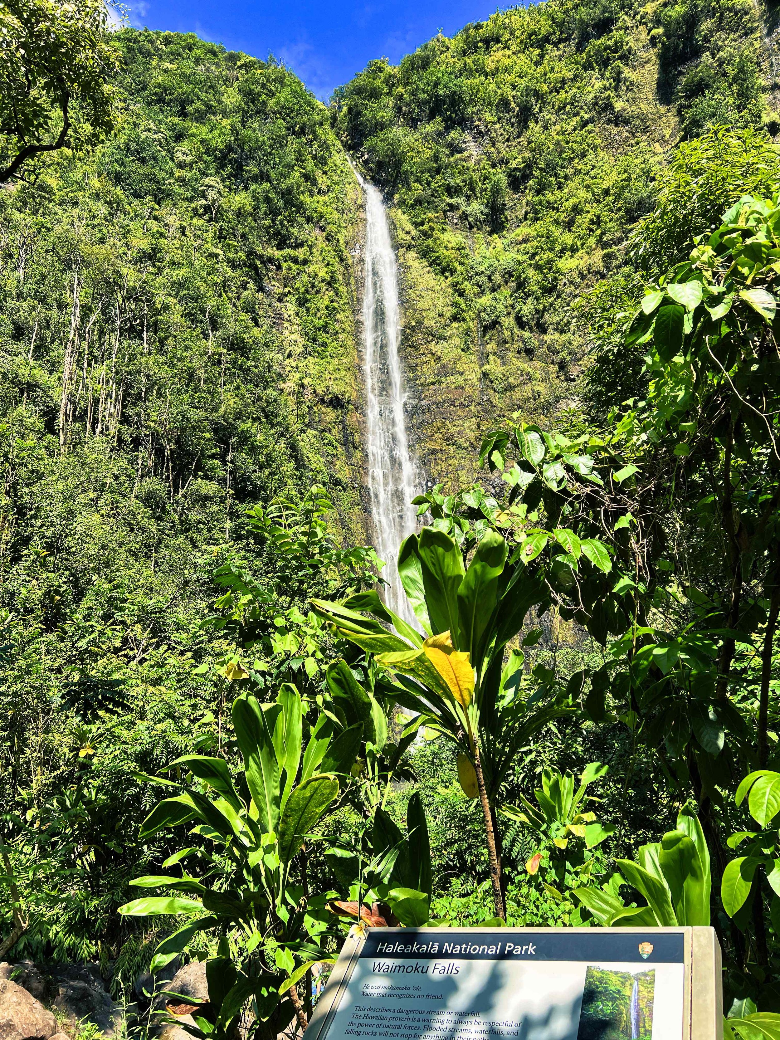 Hawaii-Pipiwai Trail .jpeg