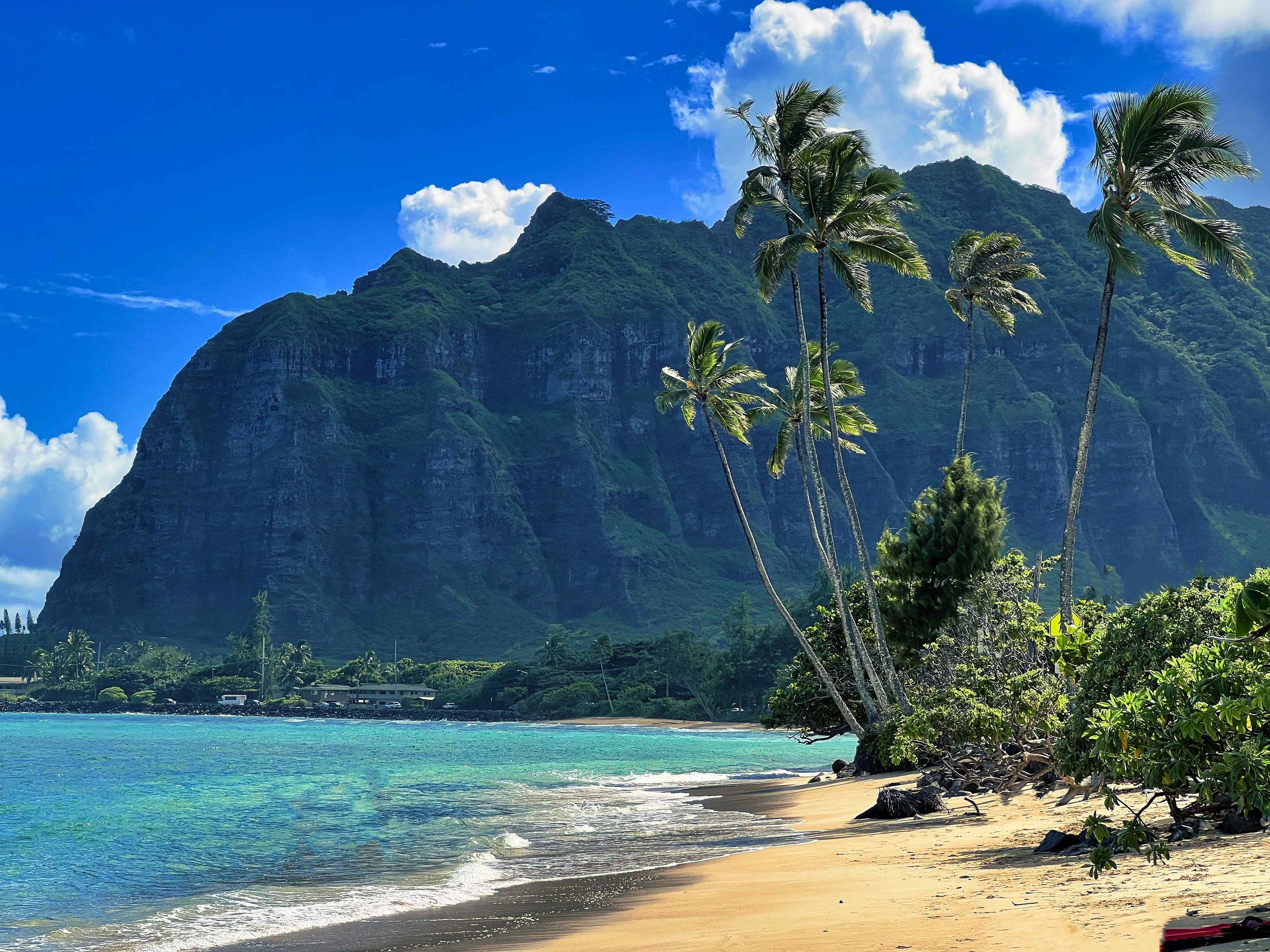 Hawaii-plage-Kualoa Ranch.jpeg