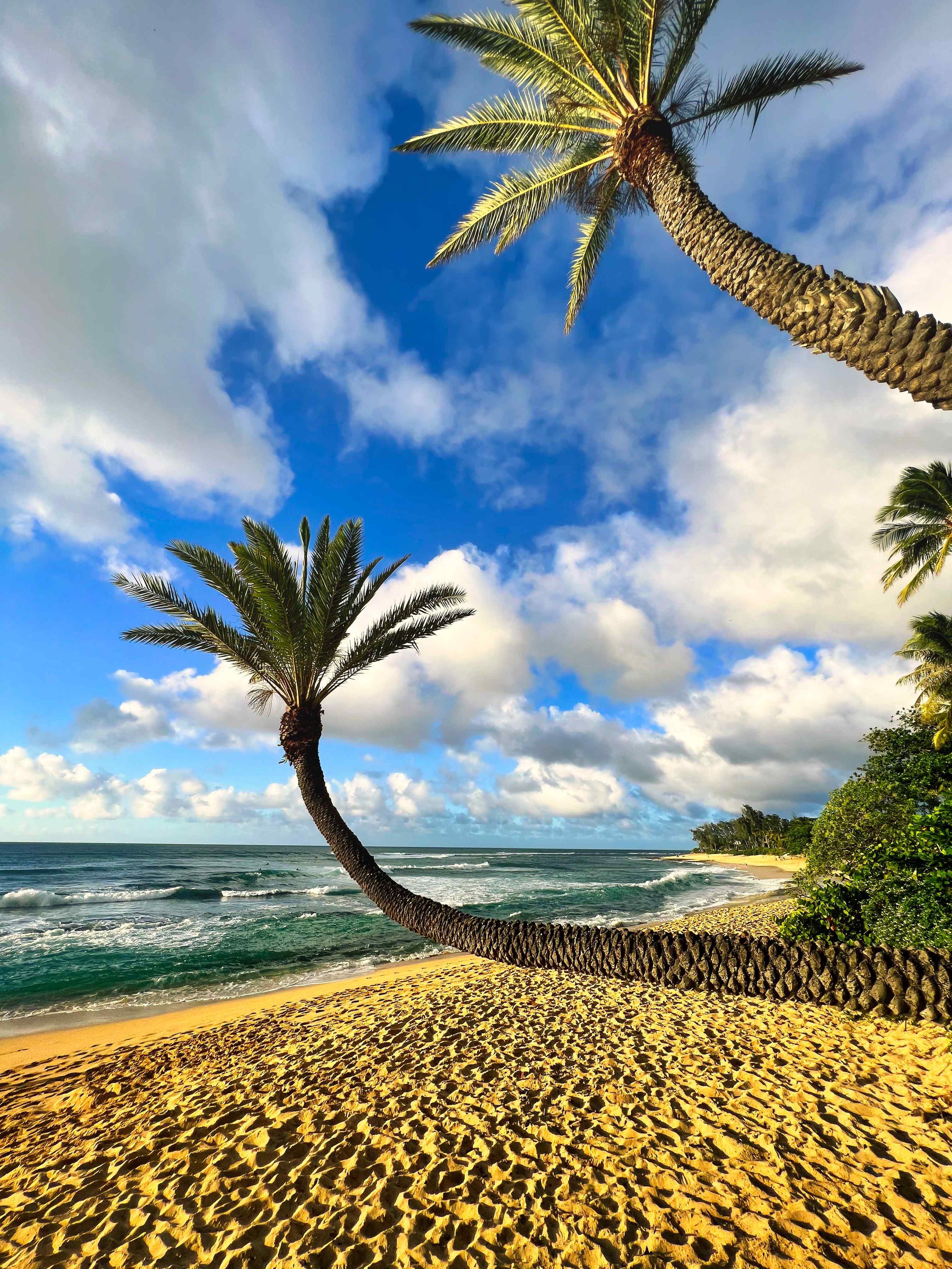 Hawaii-plage-oahu.jpeg