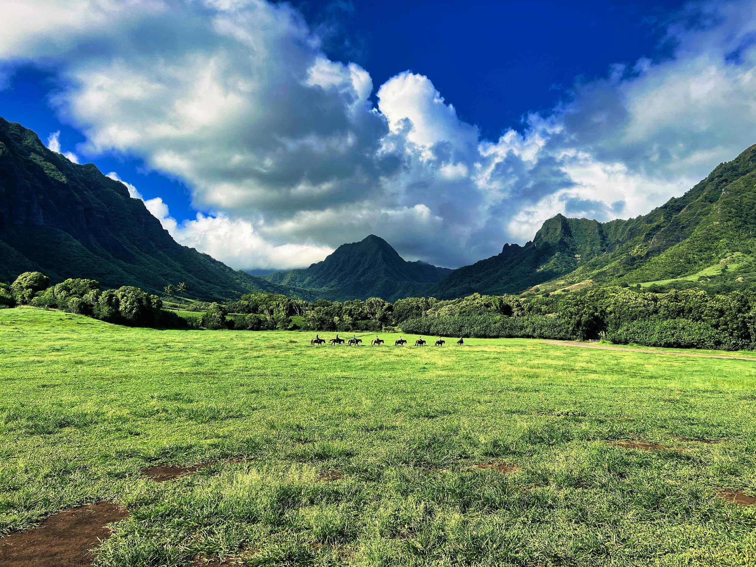 Hawaii-visite-Kualoa Ranch.jpeg