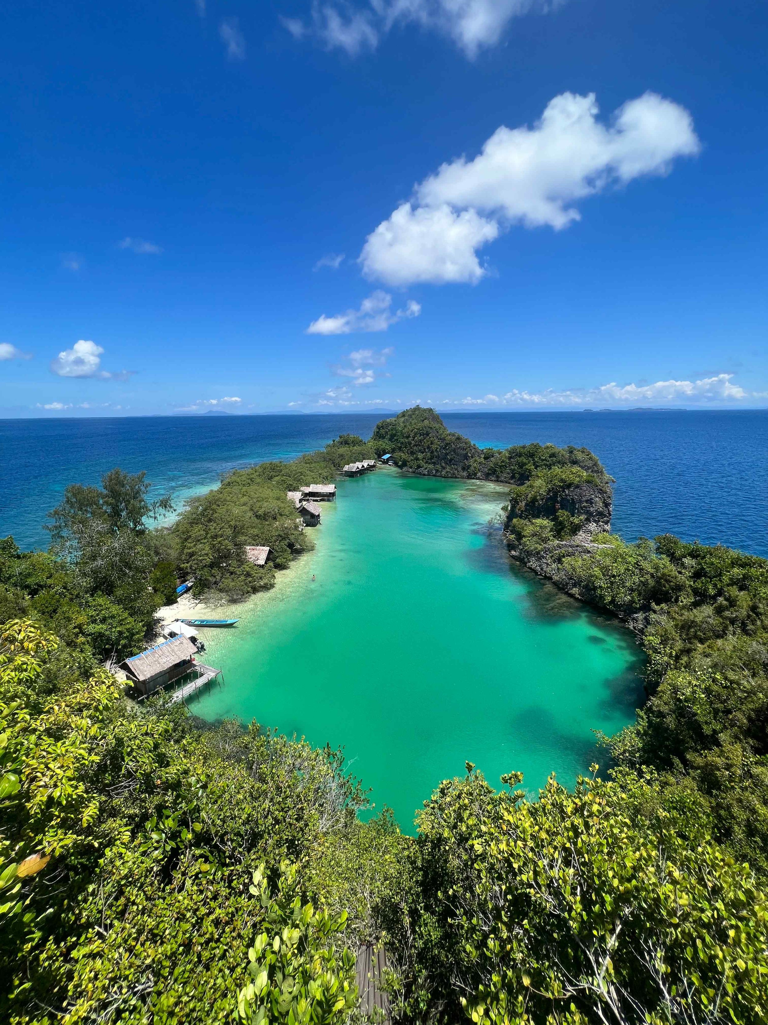 RAJA-AMPAT-INDONESIERUAS-VIEWPOINT.jpeg
