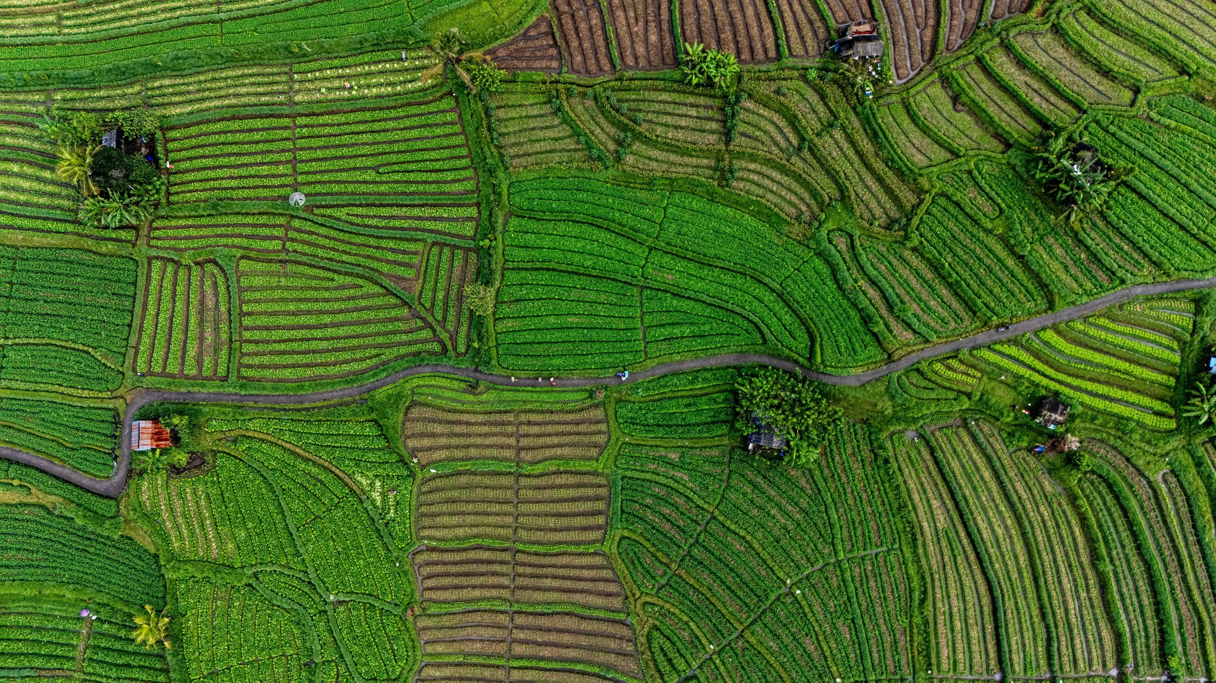 Bali-NusaPenida_indonesie-voyageDJI_20250731032733_0431_D.jpg