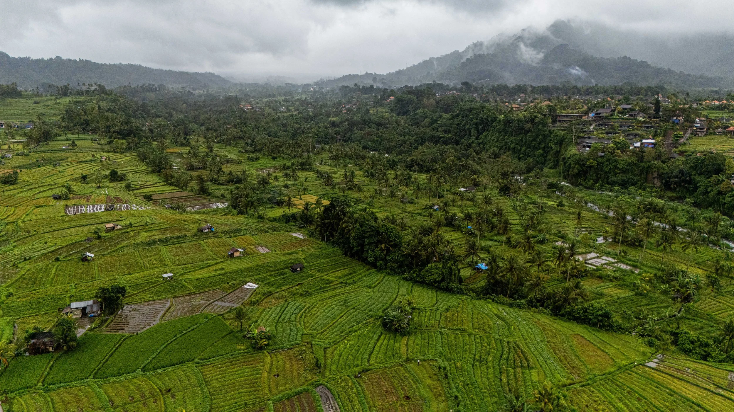 Bali-NusaPenida_indonesie-voyageDJI_20250731100134_0439_D.jpg