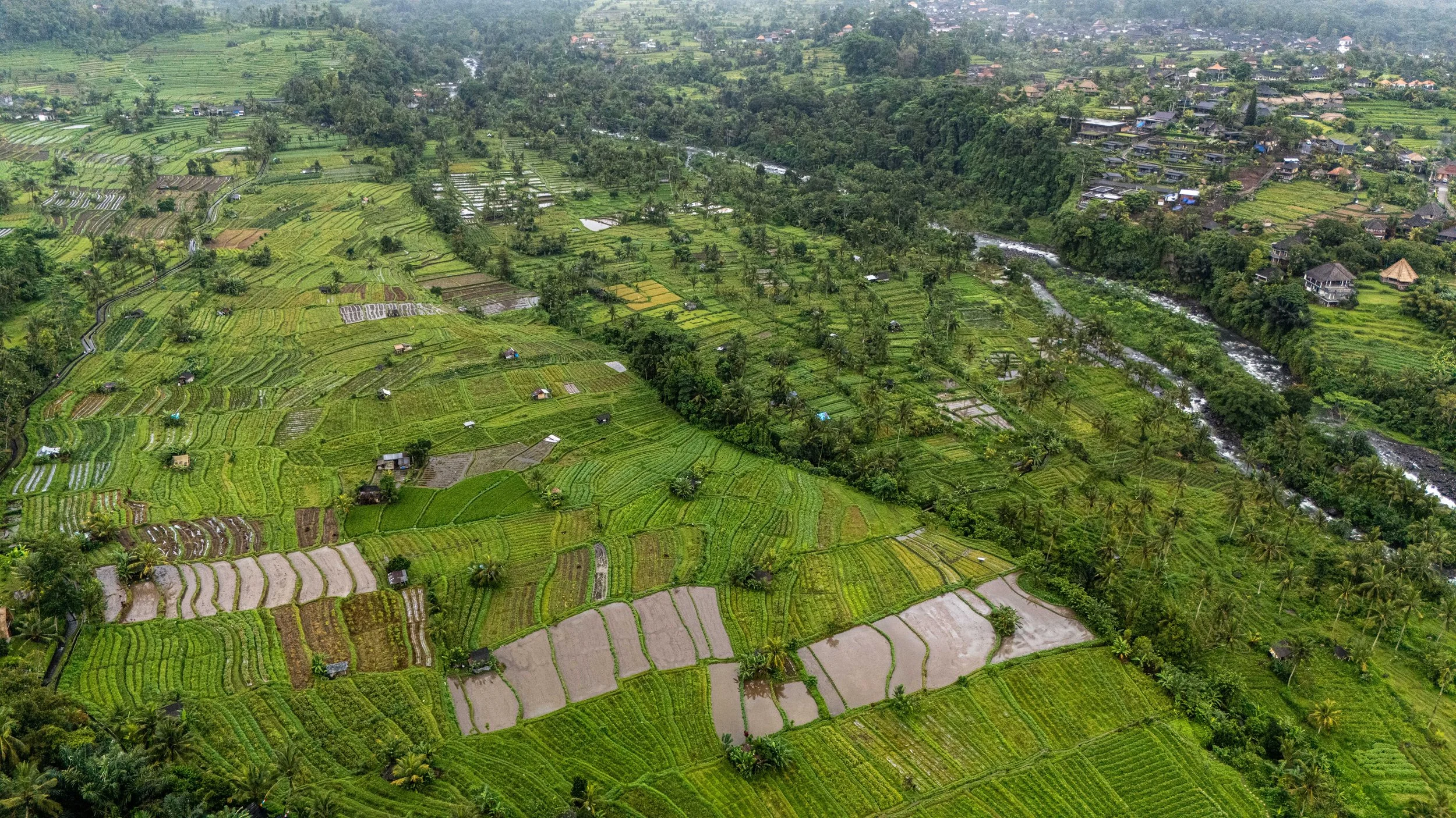 Bali-NusaPenida_indonesie-voyageDJI_20250731100339_0443_D.jpg
