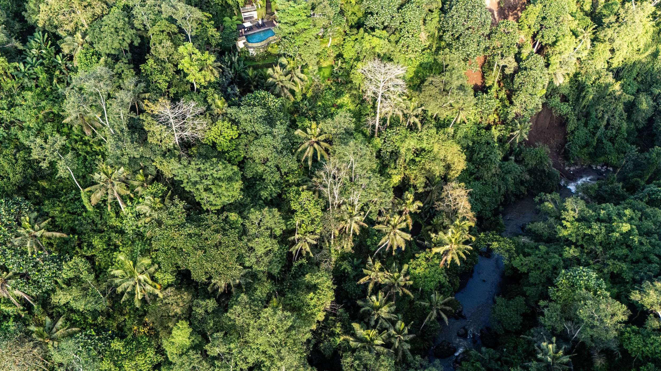 Bali-NusaPenida_indonesie-voyageDJI_20250801110009_0459_D.jpg