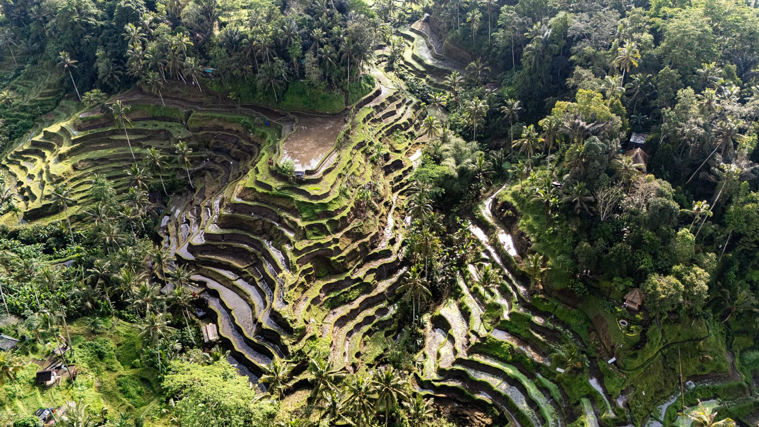 Bali-NusaPenida_indonesie-voyageDJI_20250802031655_0468_D.jpg