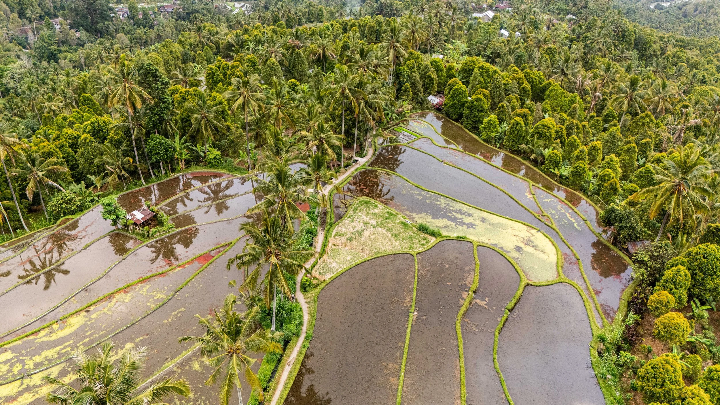 Bali-NusaPenida_indonesie-voyageDJI_20250802113605_0507_D.jpg