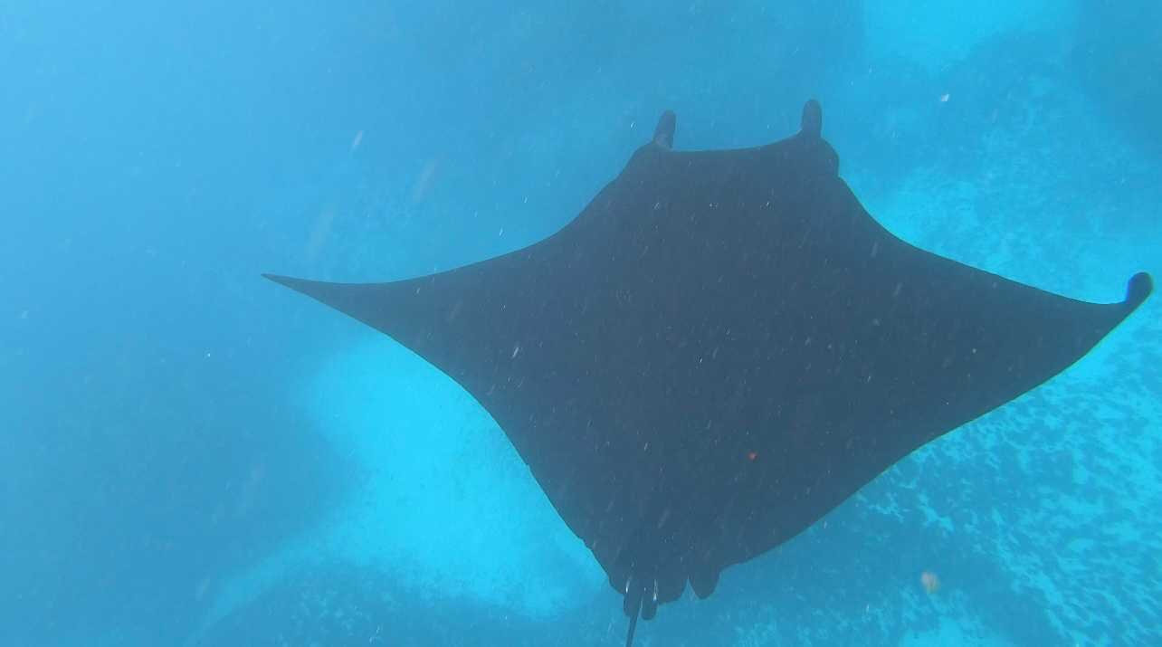 Bali-NusaPenida_indonesie-voyageIMG_4191.jpg