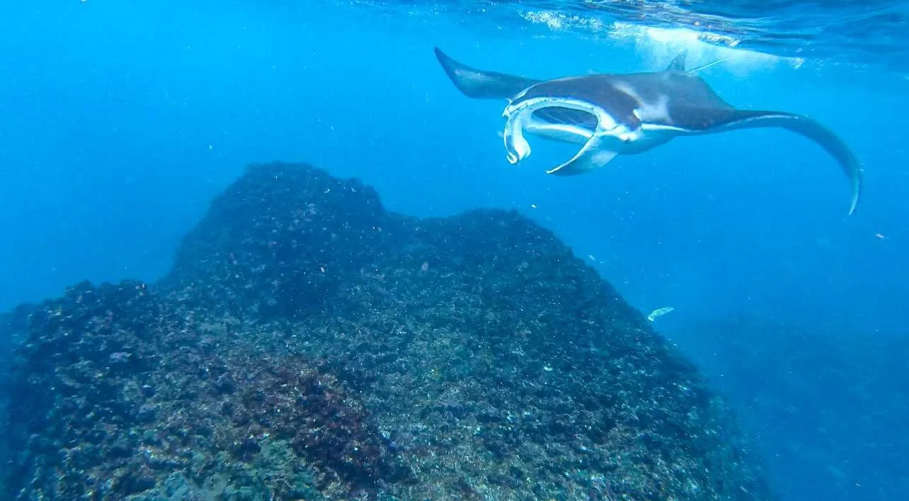 Bali-NusaPenida_indonesie-voyageIMG_4192.jpg