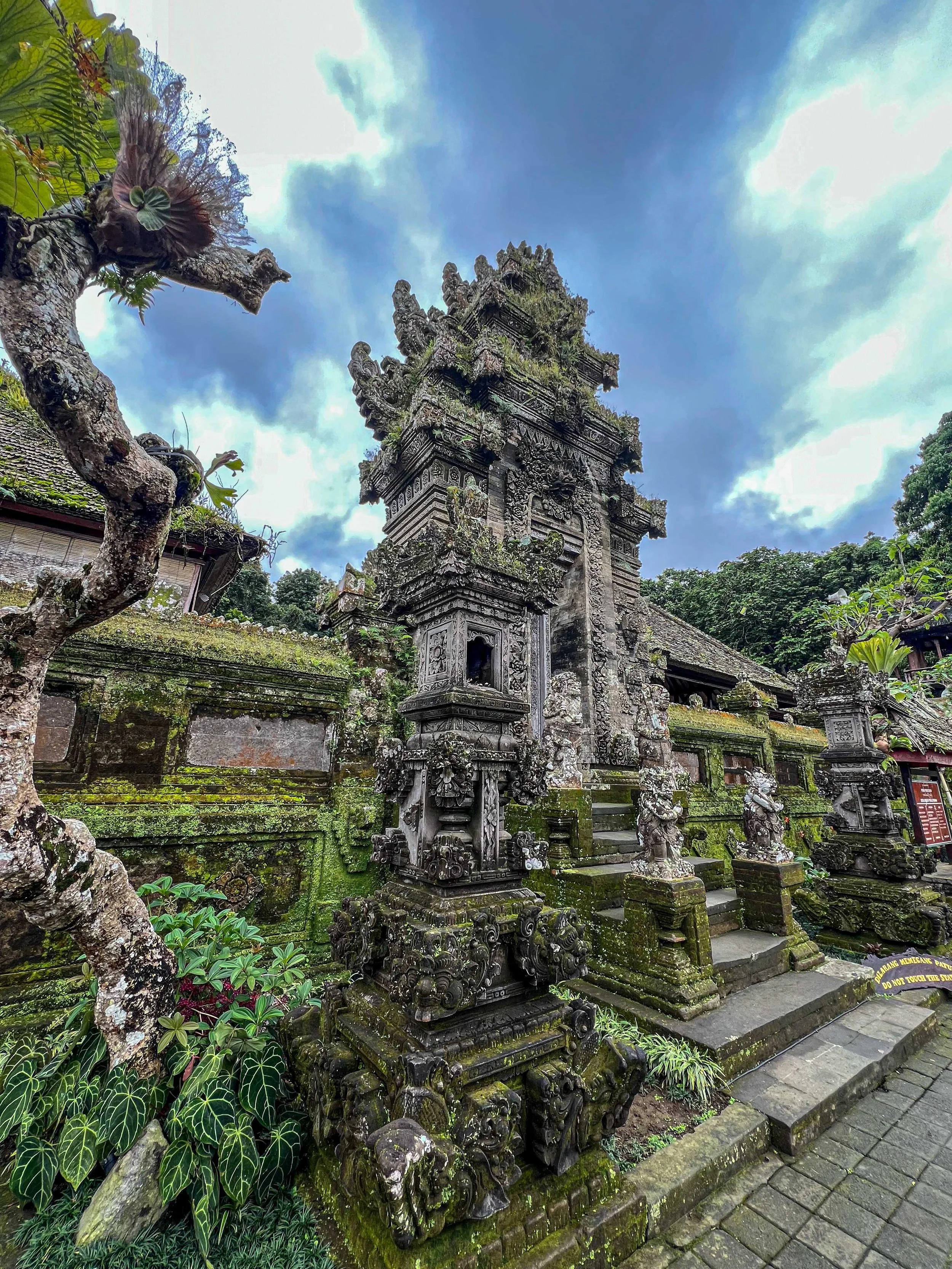 Bali-NusaPenida_indonesie-voyageIMG_6791.jpg