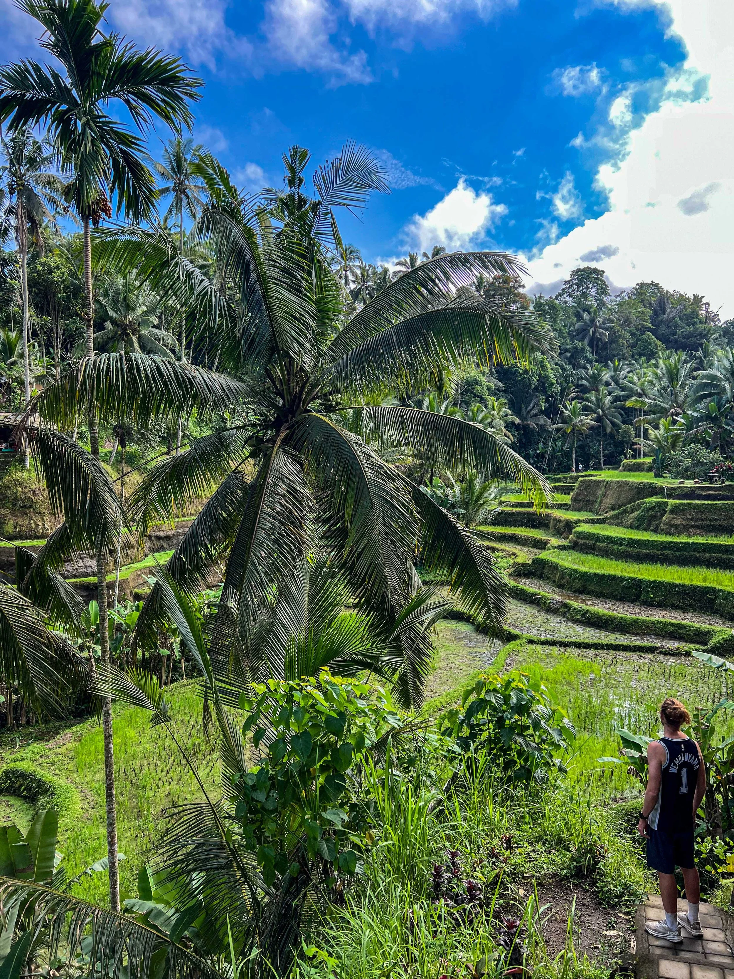 Bali-NusaPenida_indonesie-voyageIMG_6915.jpg