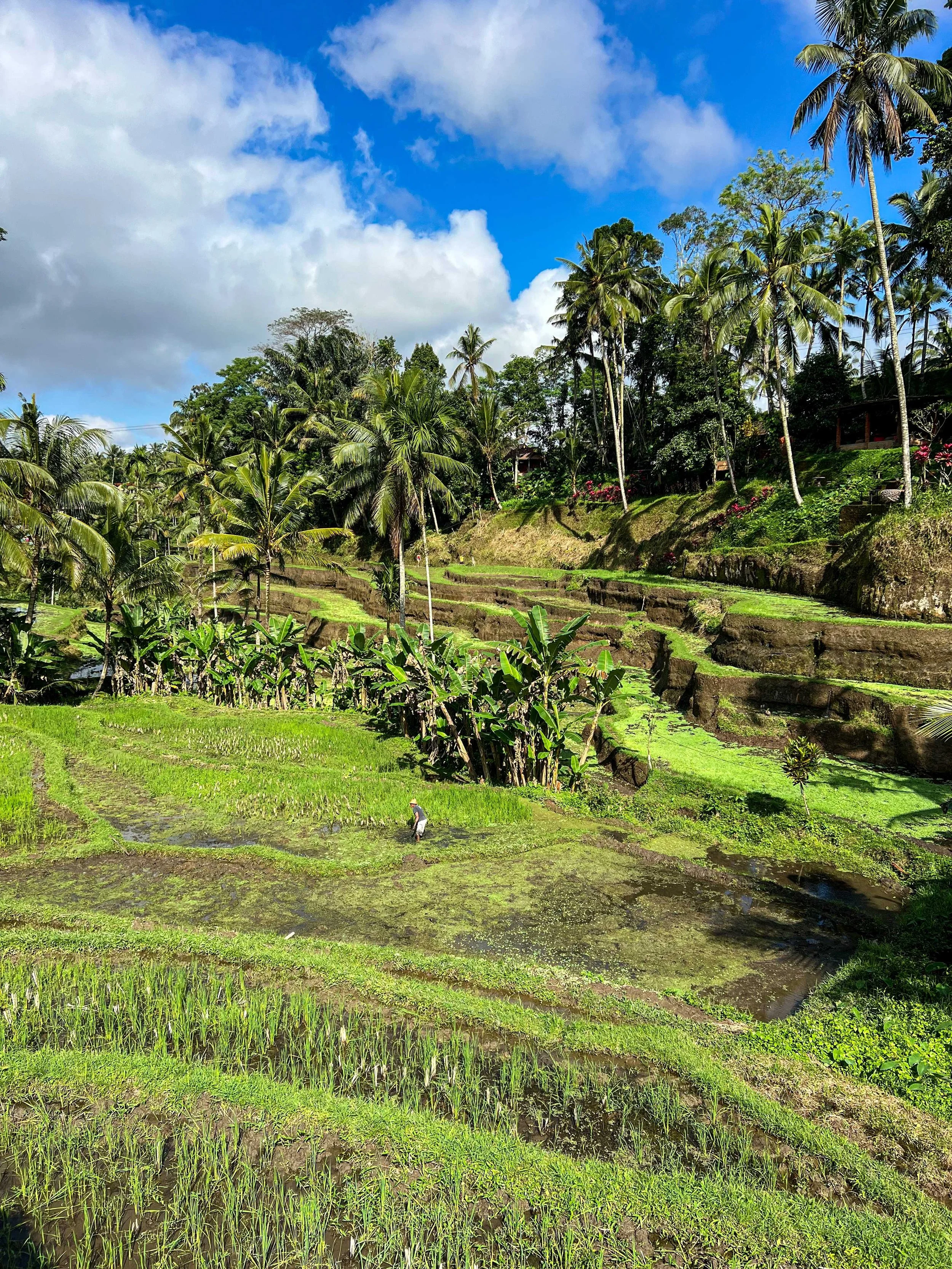 Bali-NusaPenida_indonesie-voyageIMG_6926.jpg