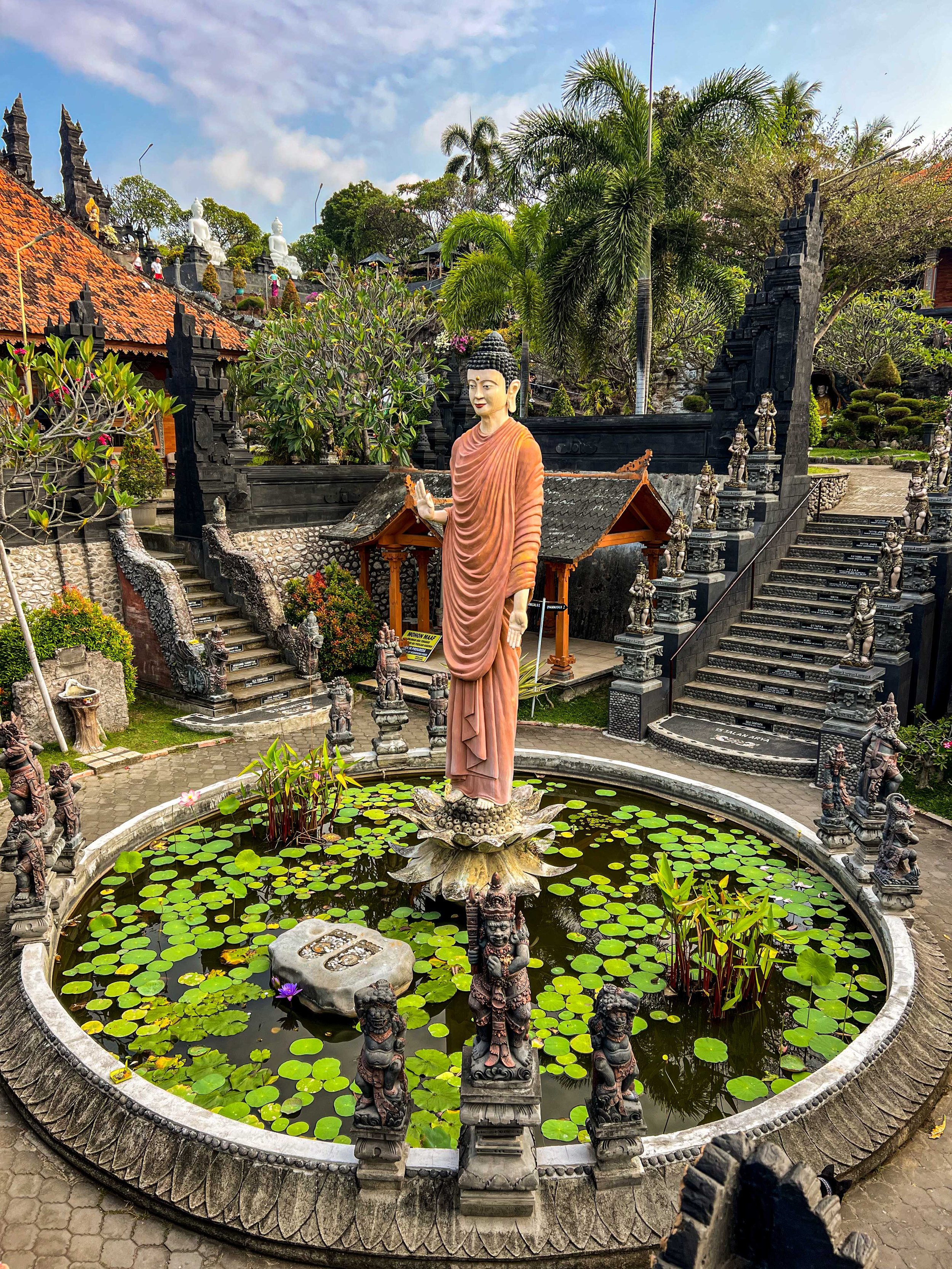 Bali-NusaPenida_indonesie-voyageIMG_7146.jpg