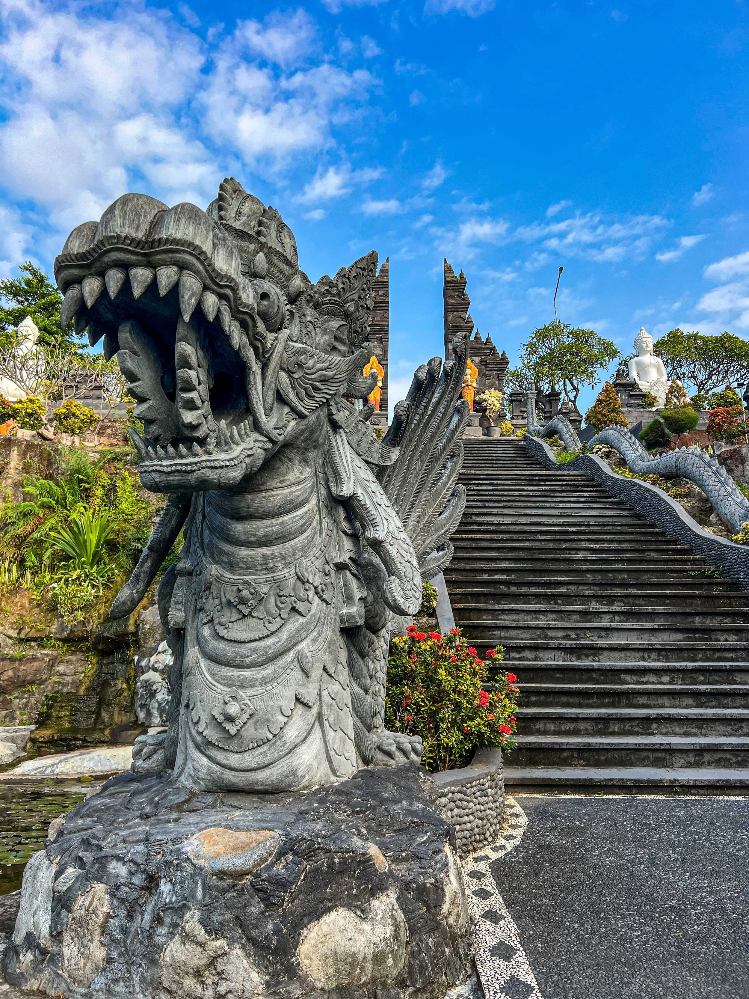Bali-NusaPenida_indonesie-voyageIMG_7162.jpg