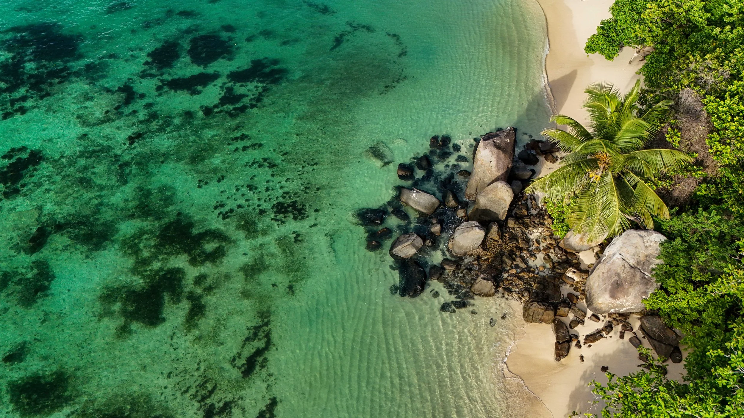 Seychelles_10_jours_Mahe_Praslin_La_DigueDJI_20260217044319_0025_D.JPG