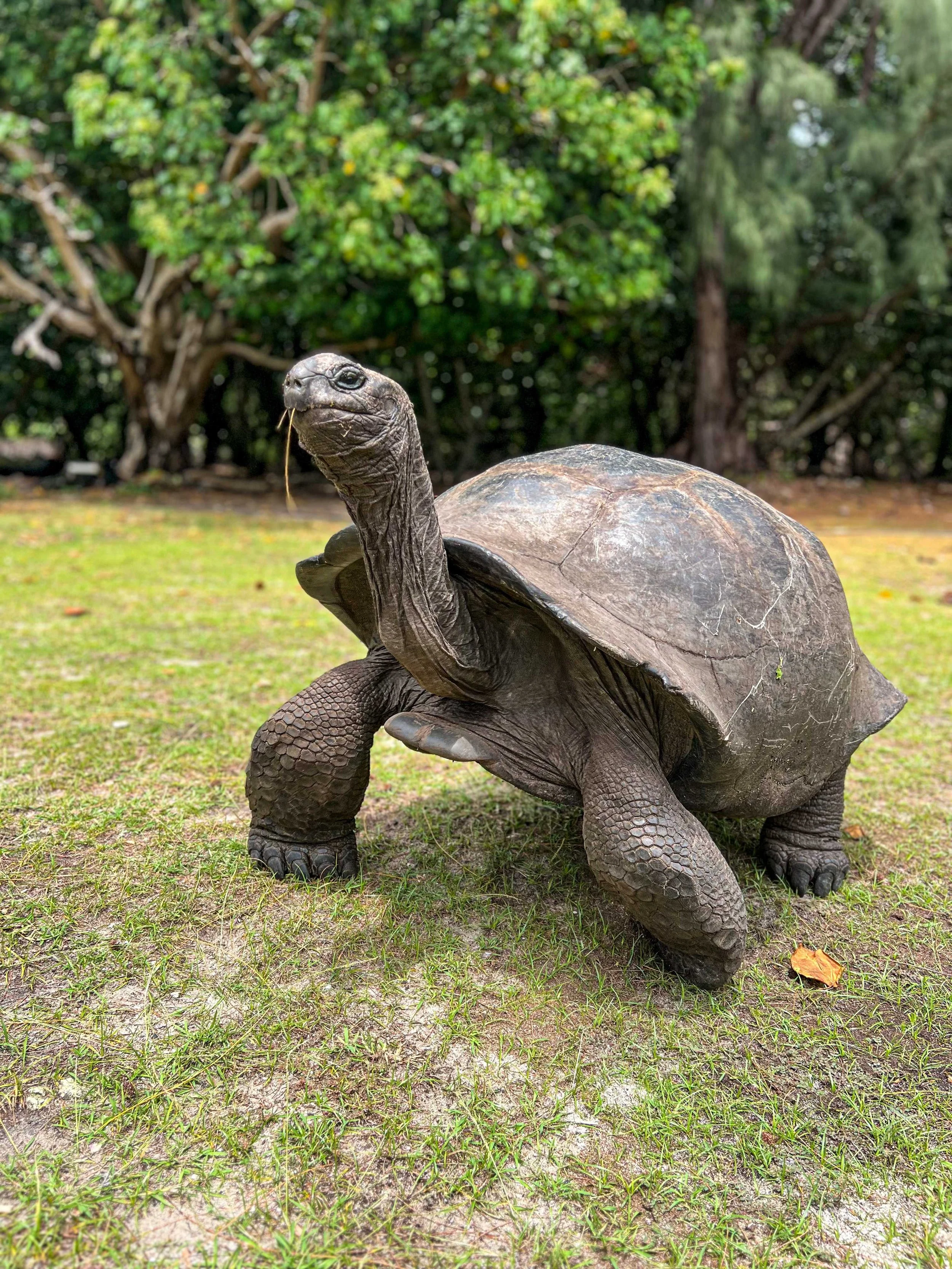 Seychelles_10_jours_Mahe_Praslin_La_DigueIMG_2761.jpg