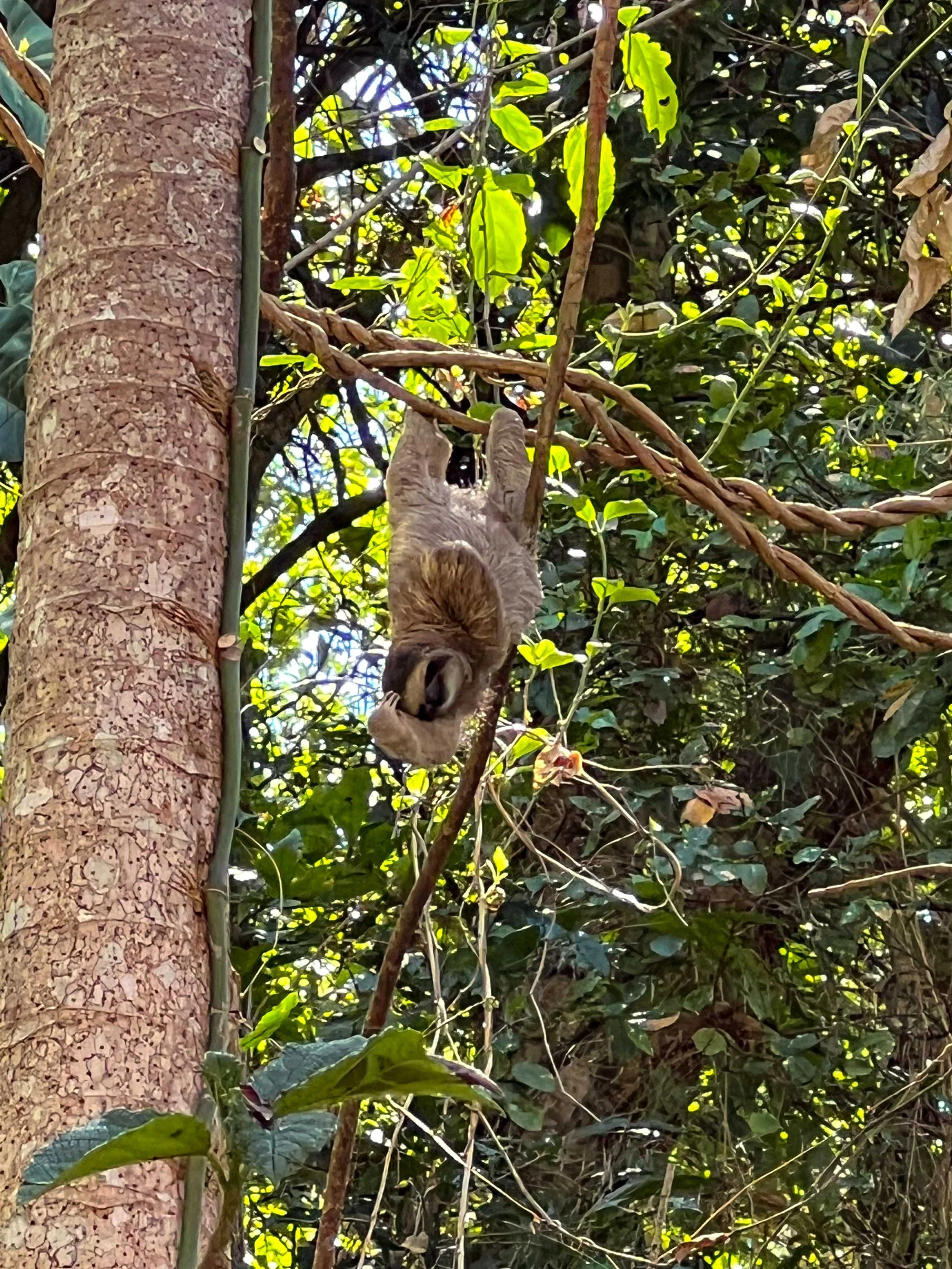 Panama_15_jours_itinéraire_completIMG_4767.jpg