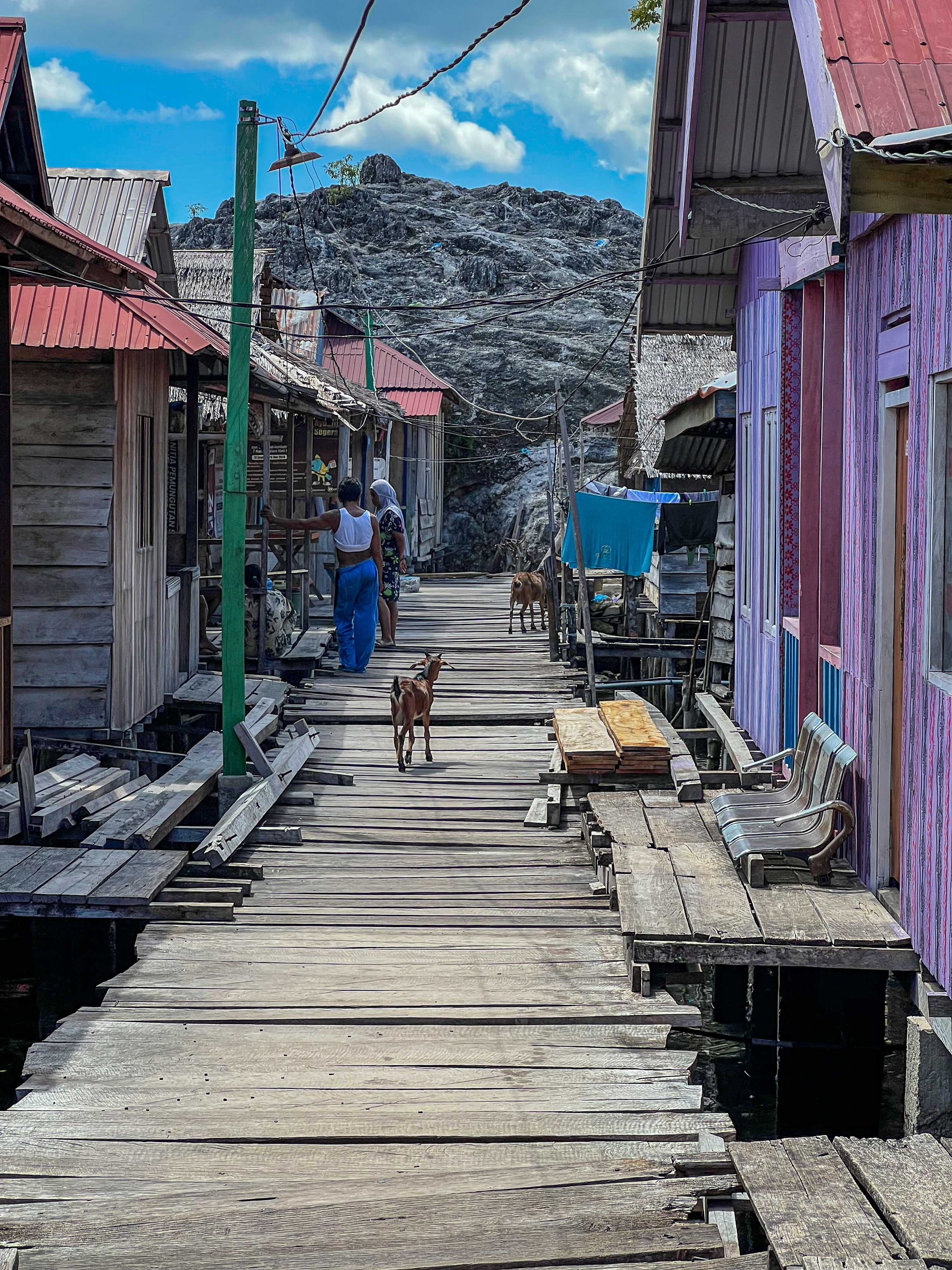 SULAWESI-INDONESIE- îles-Togian19.jpg