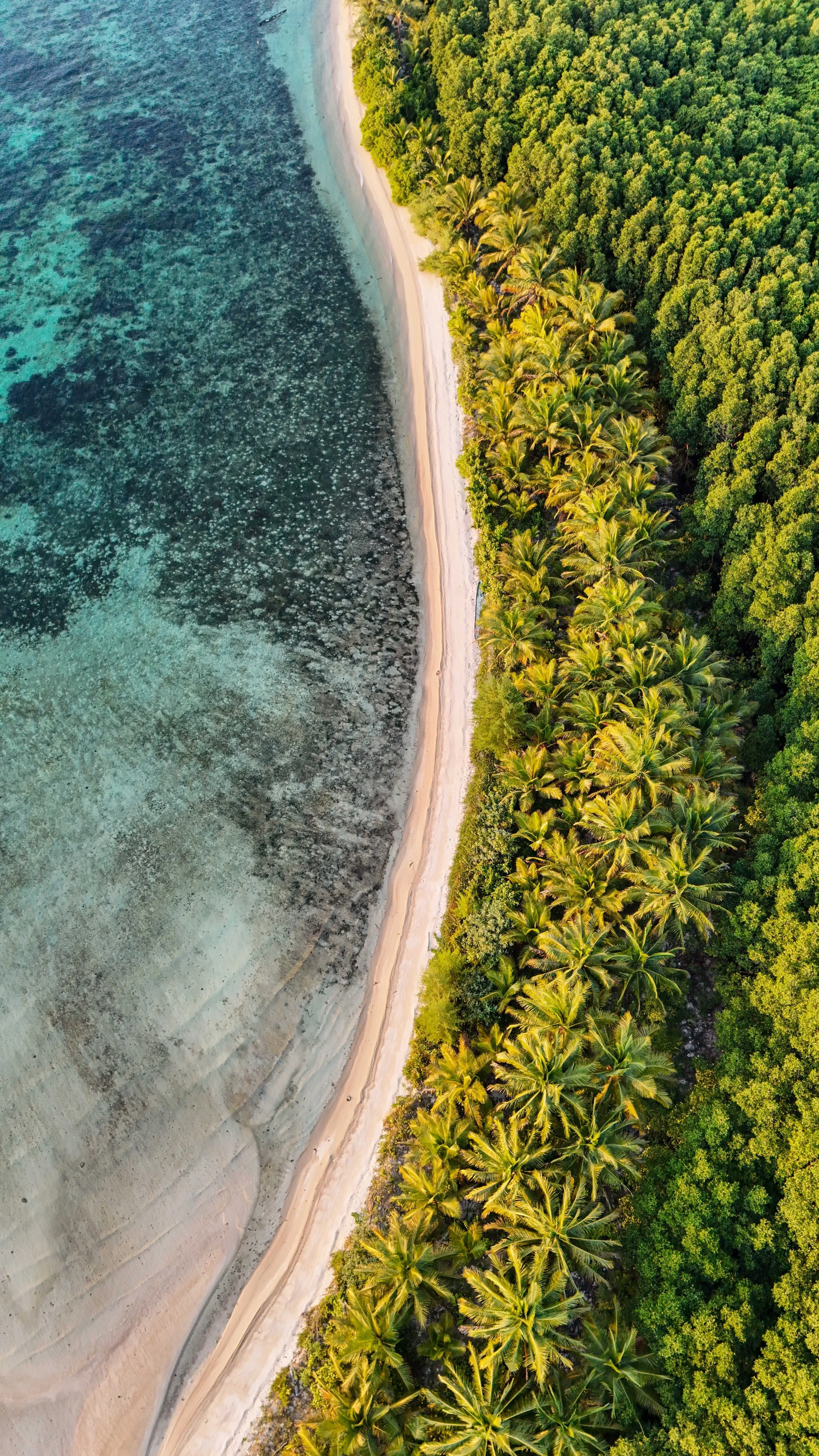 SULAWESI-INDONESIE-Banggai4.JPG