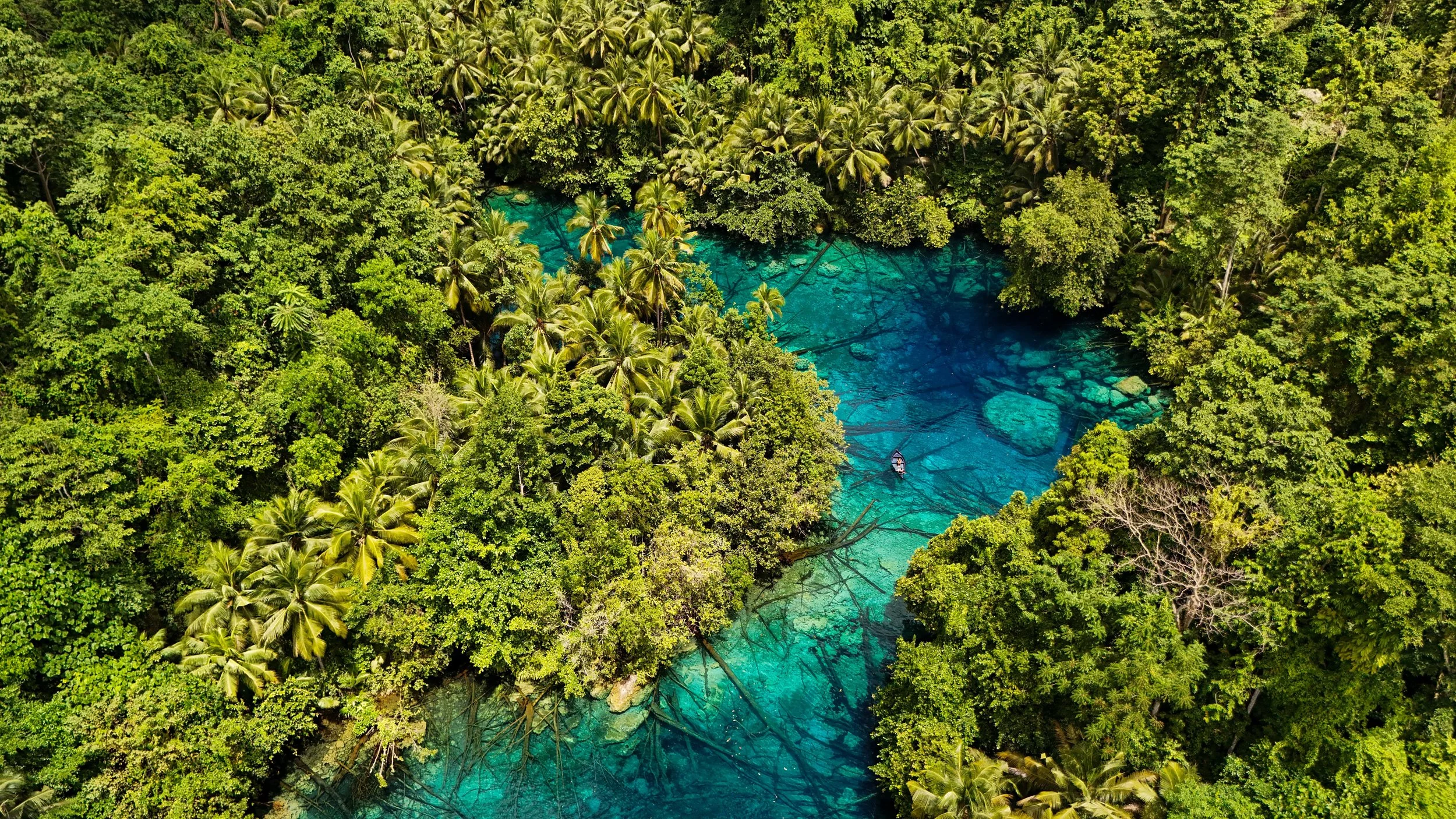 SULAWESI-INDONESIE-Banggai7.JPG
