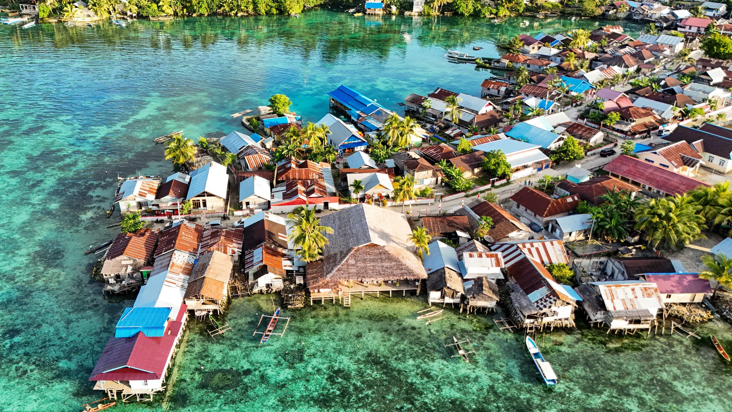 SULAWESI-INDONESIE-Banggai13.JPG