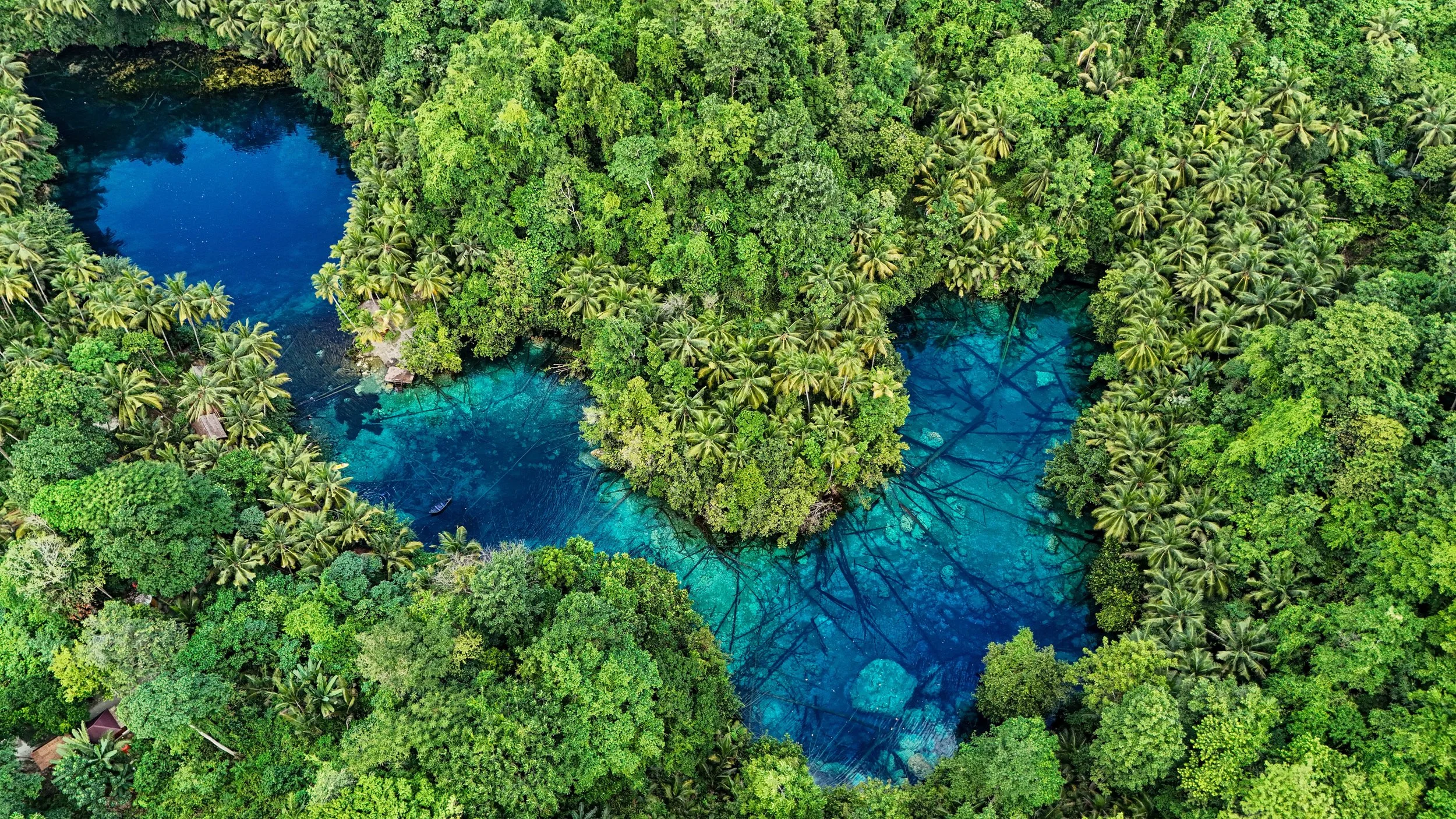 SULAWESI-INDONESIE-Banggai17.JPG