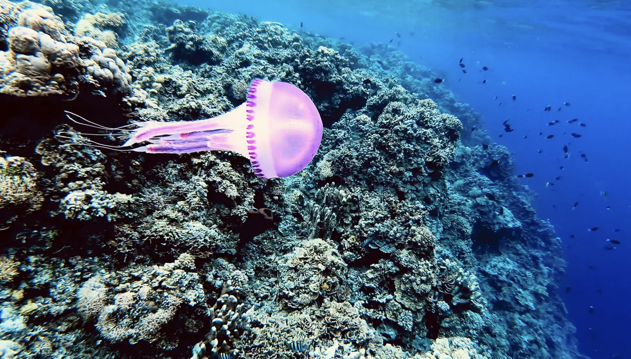 SULAWESI-INDONESIE-BUKAKA.png