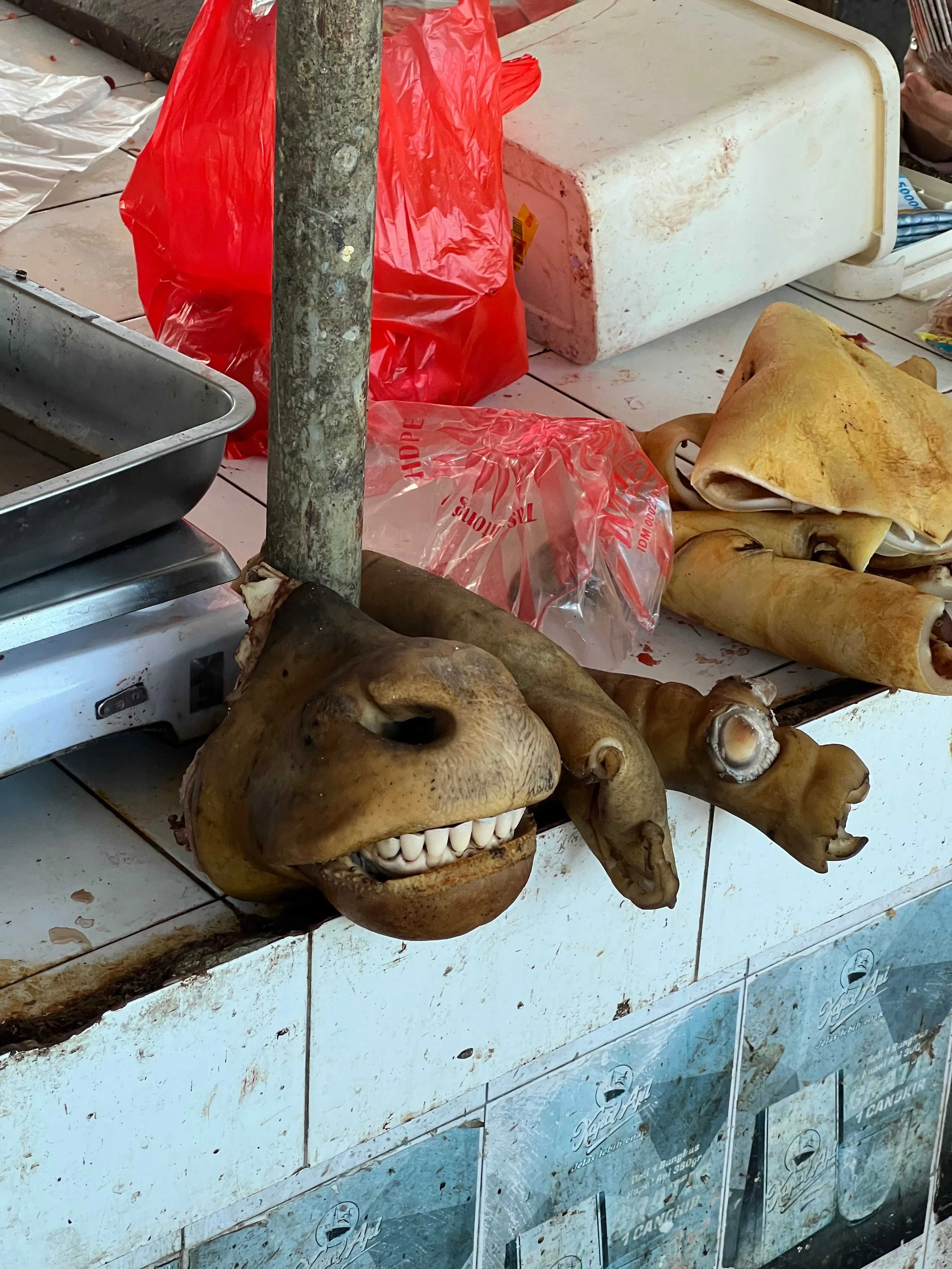 SULAWESI-INDONESIE-Tomohon2.jpeg