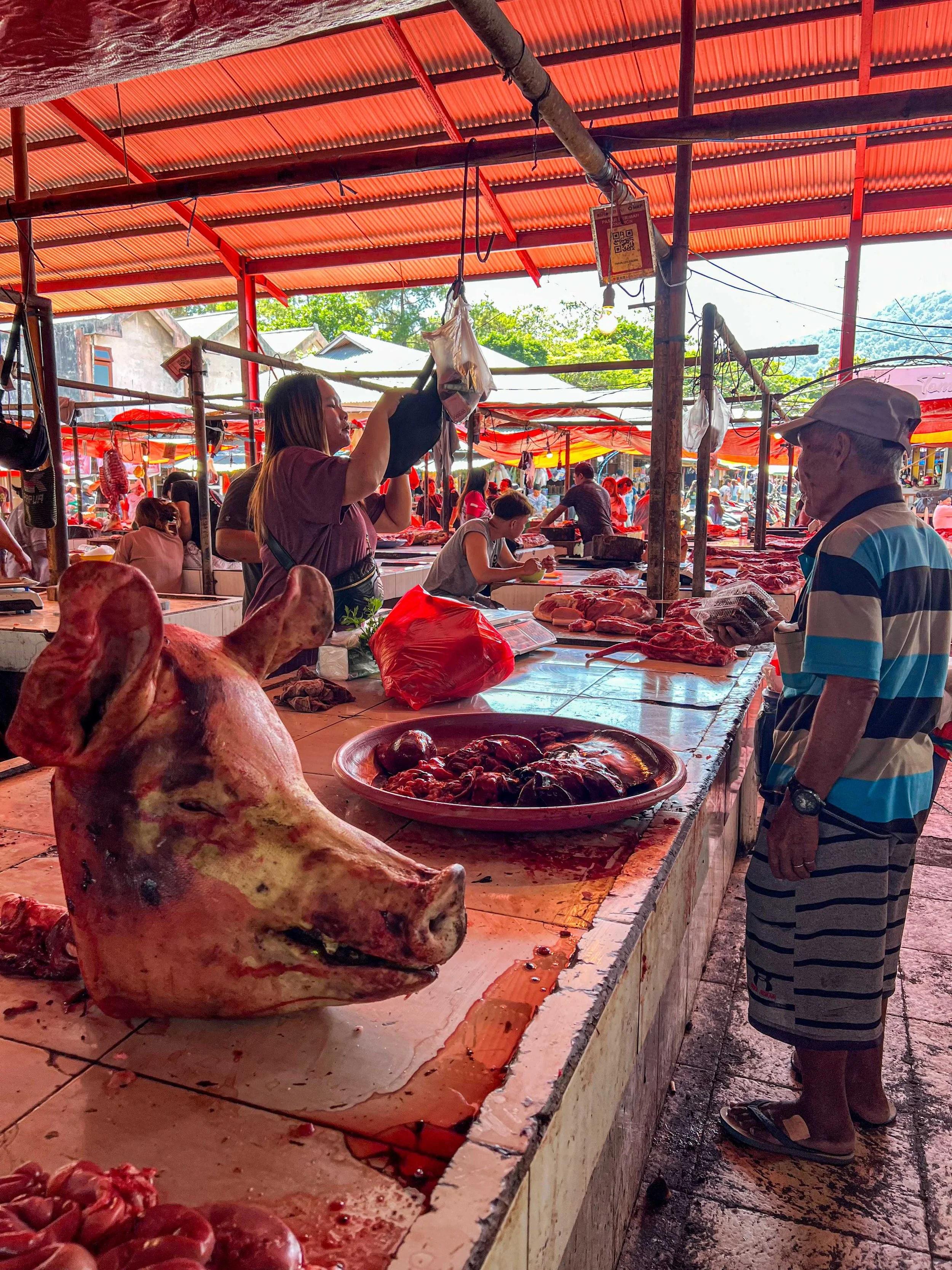 SULAWESI-INDONESIE-Tomohon4.jpg