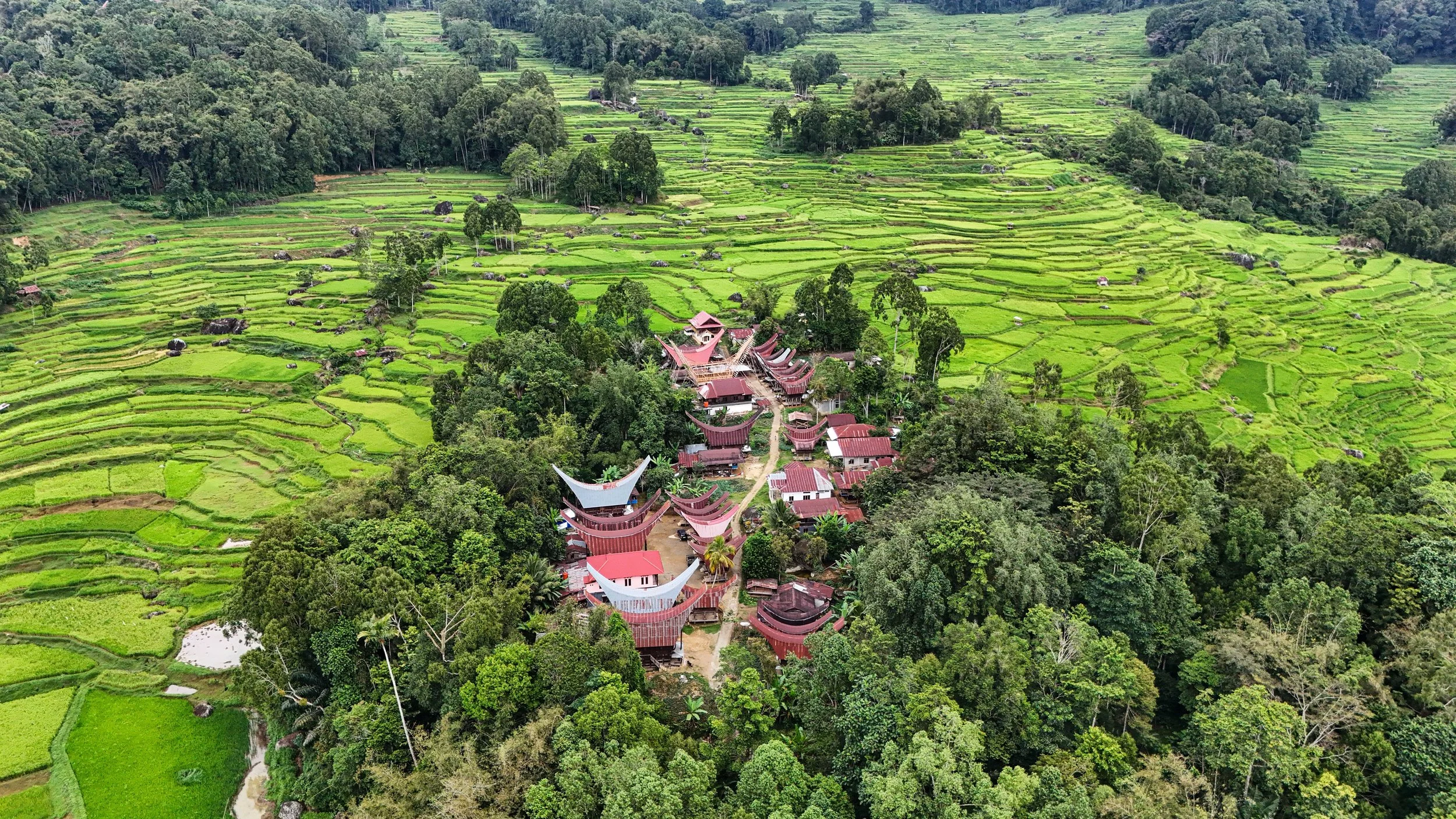 SULAWESI-INDONESIE-Toraja3.JPG