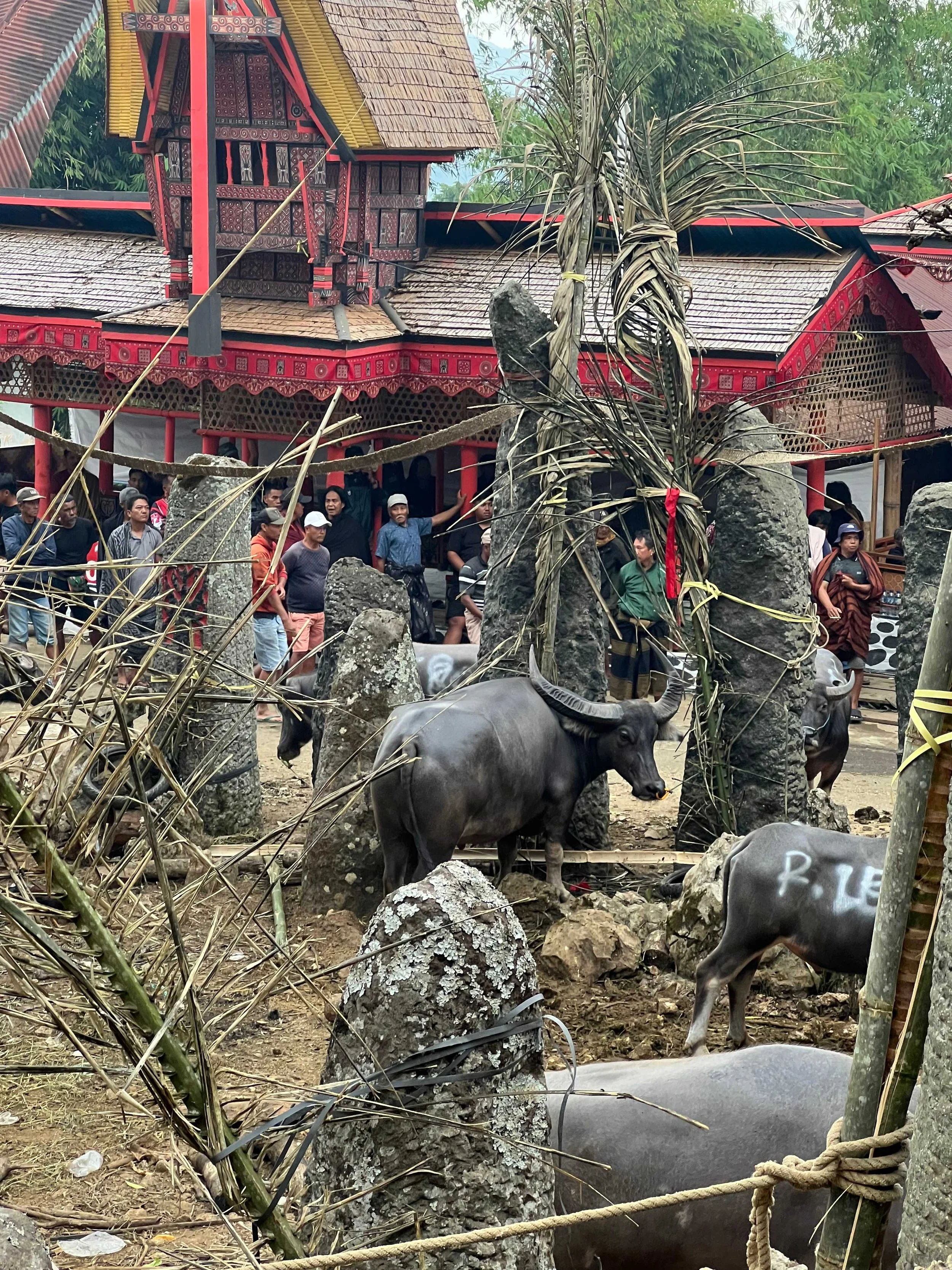 SULAWESI-INDONESIE-Toraja20.jpeg