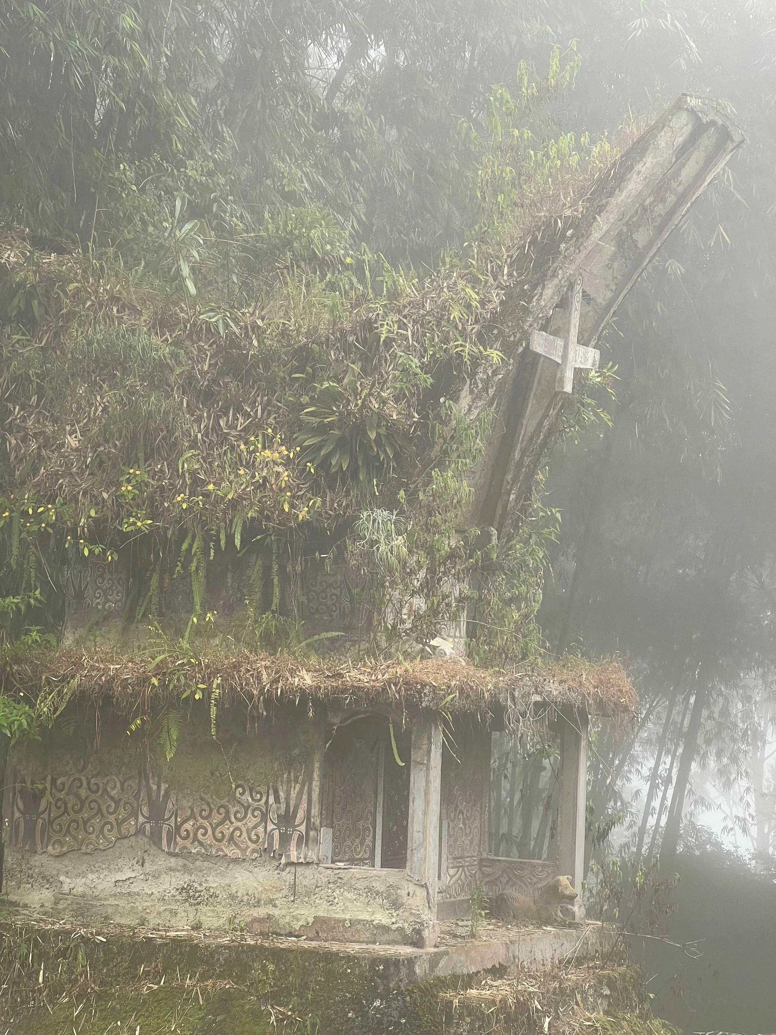 SULAWESI-INDONESIE-Toraja22.jpeg