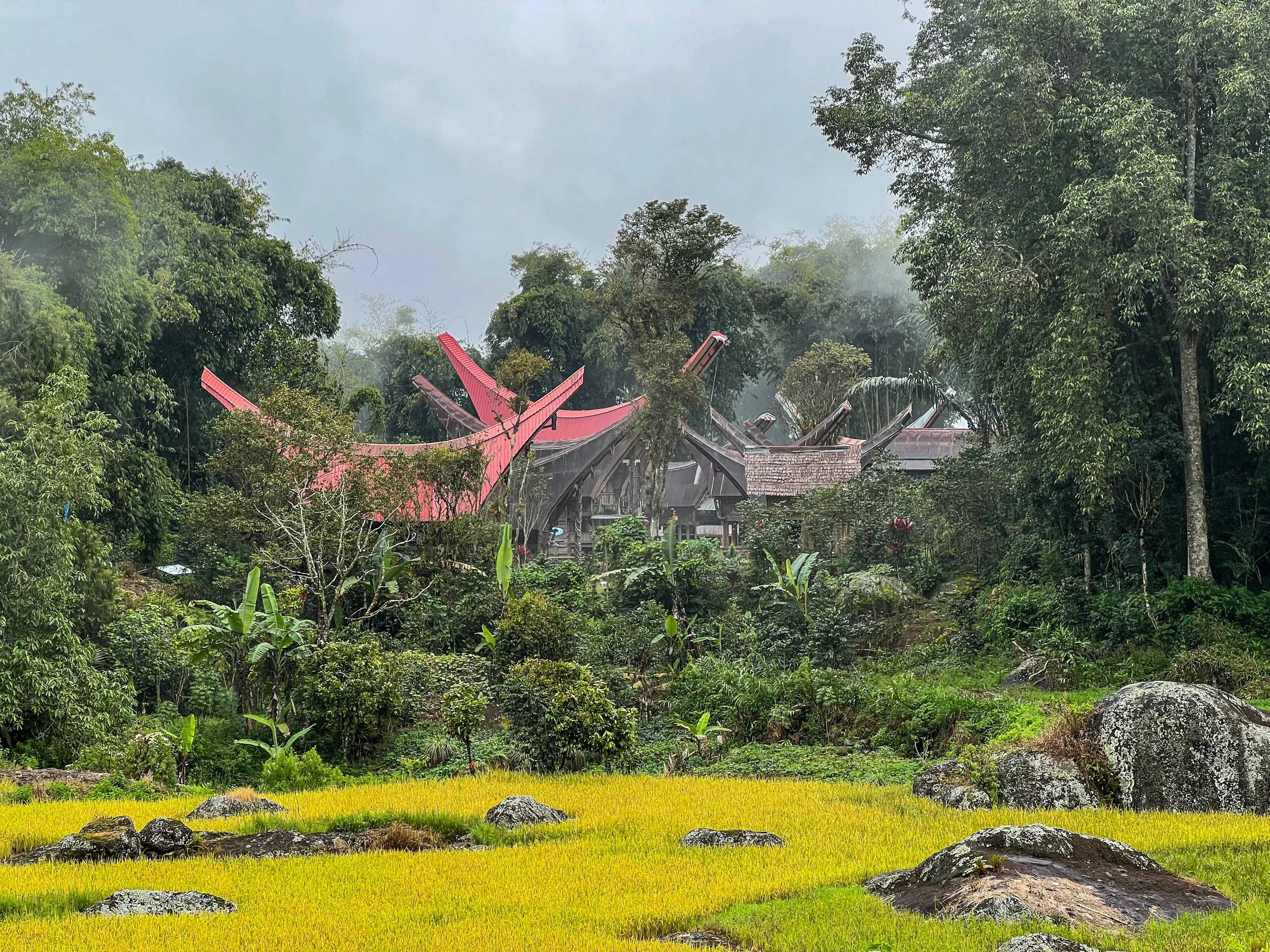 SULAWESI-INDONESIE-Toraja26.jpg