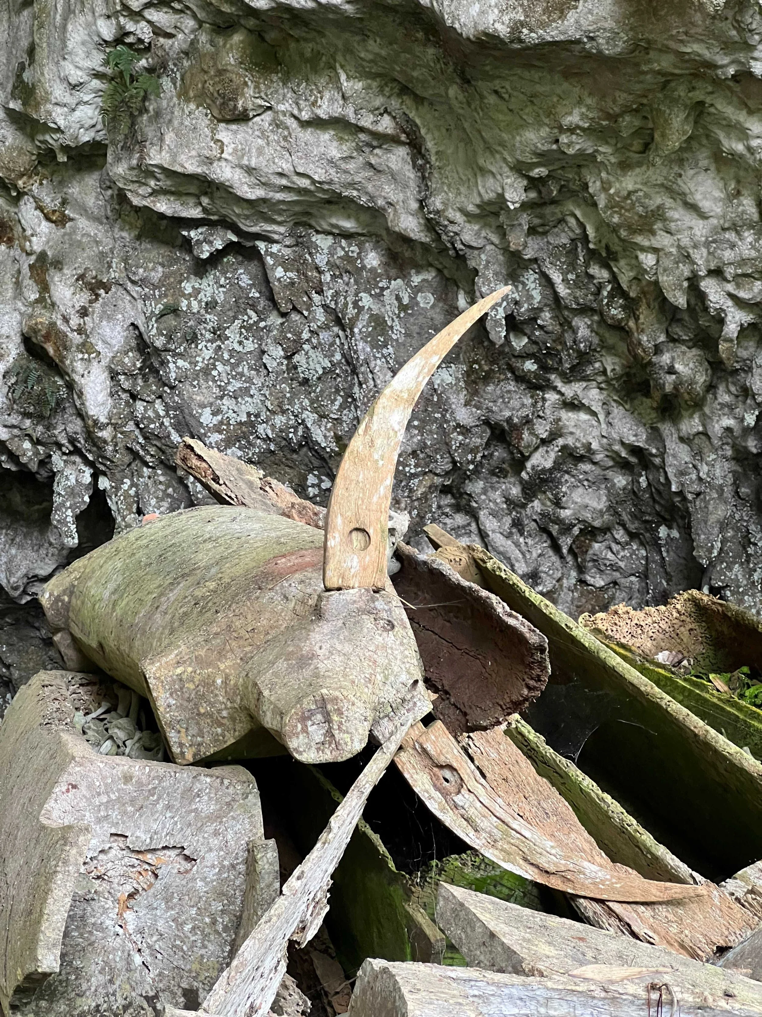 SULAWESI-INDONESIE-Toraja42.jpeg