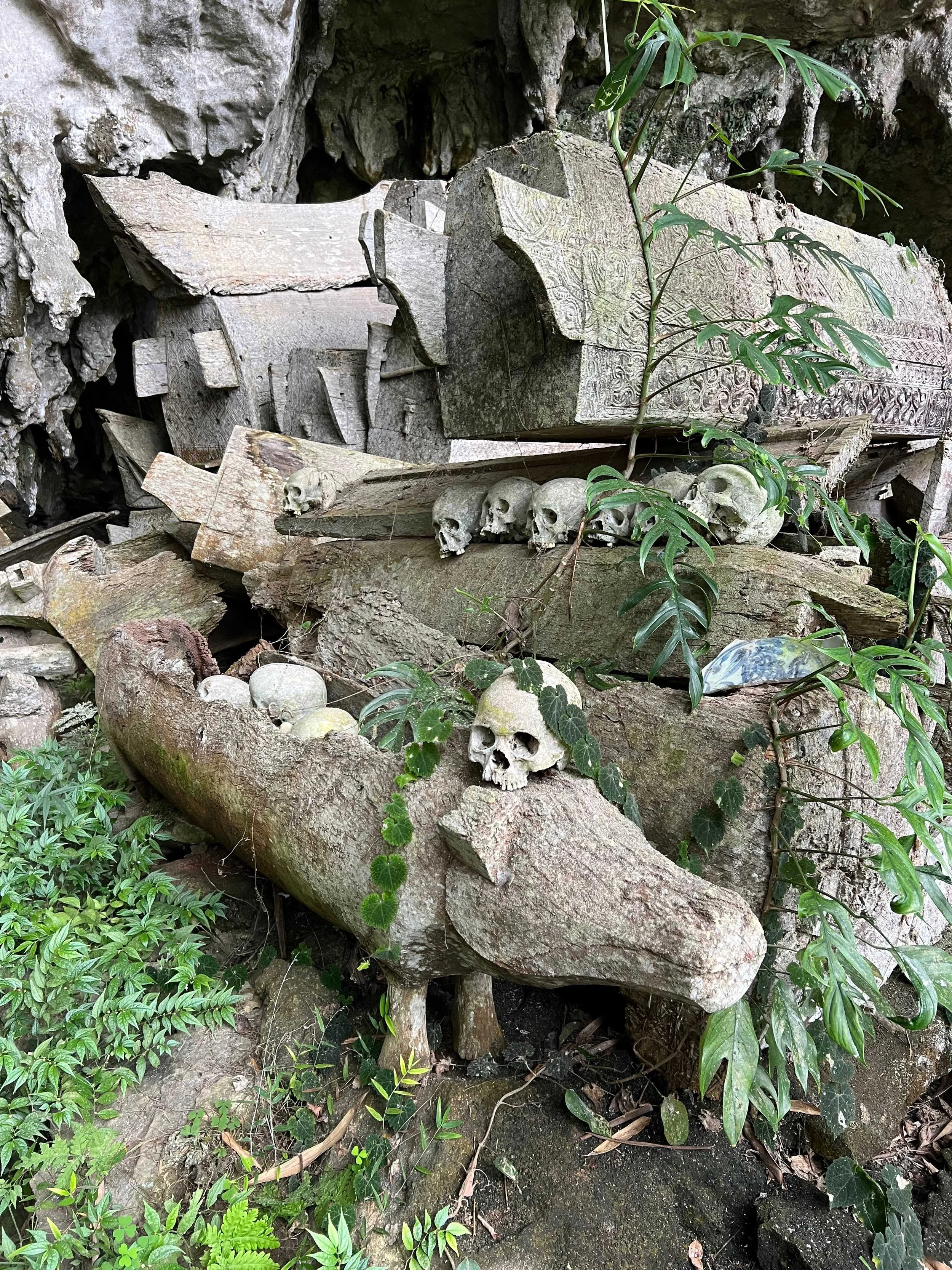 SULAWESI-INDONESIE-Toraja43.jpeg