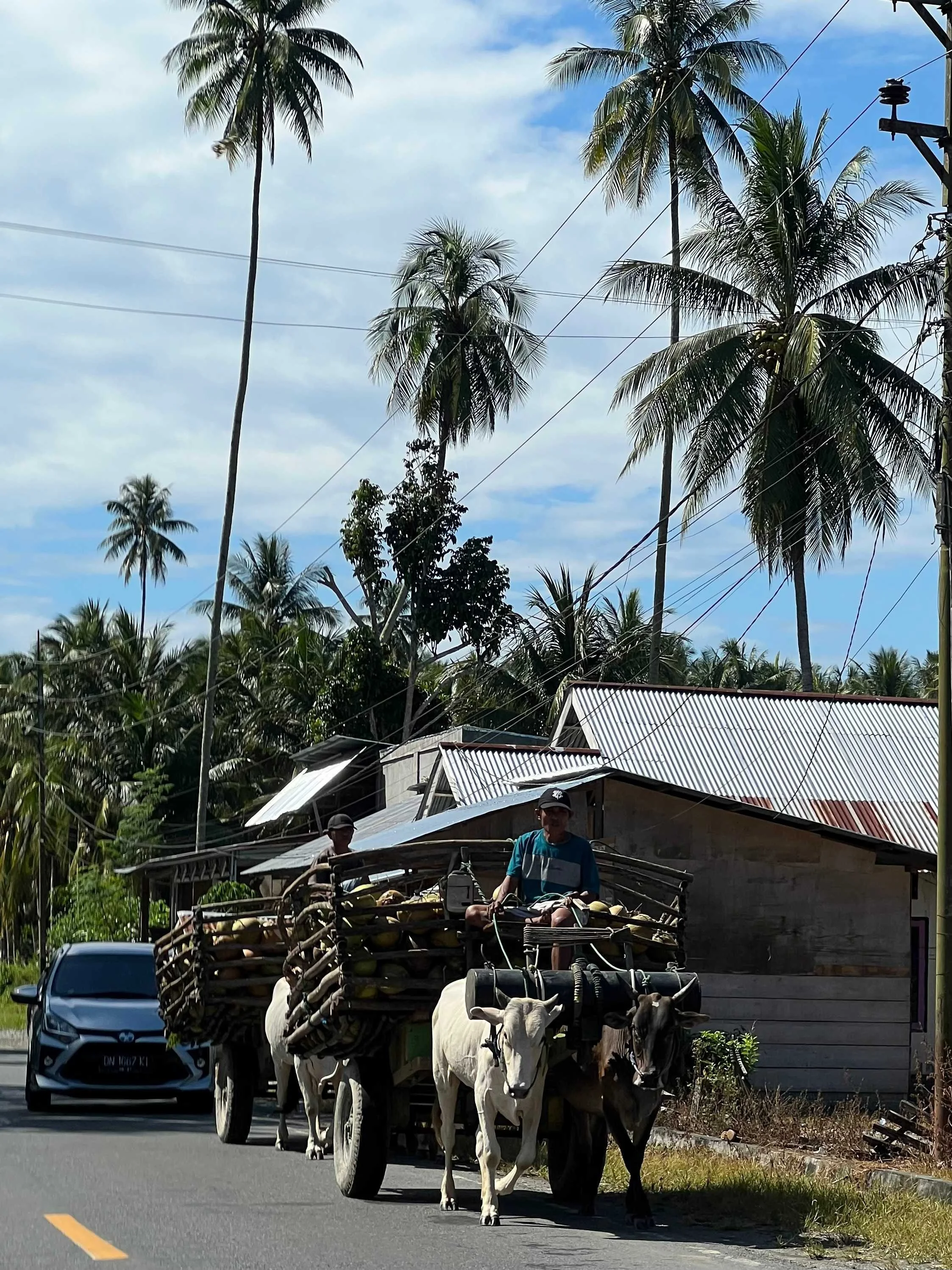 SULAWESI-INDONESIE127.jpeg