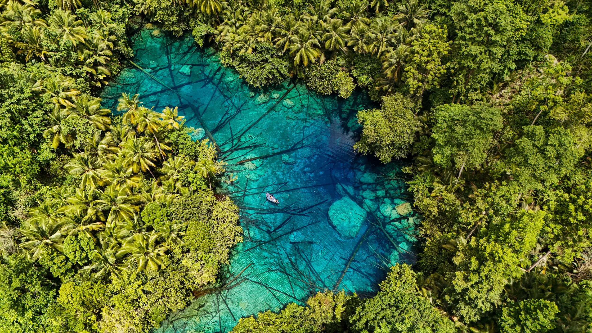  Sulawesi en 5 semaines : voyage au cœur de l'archipel le plus authentique d'Indonésie