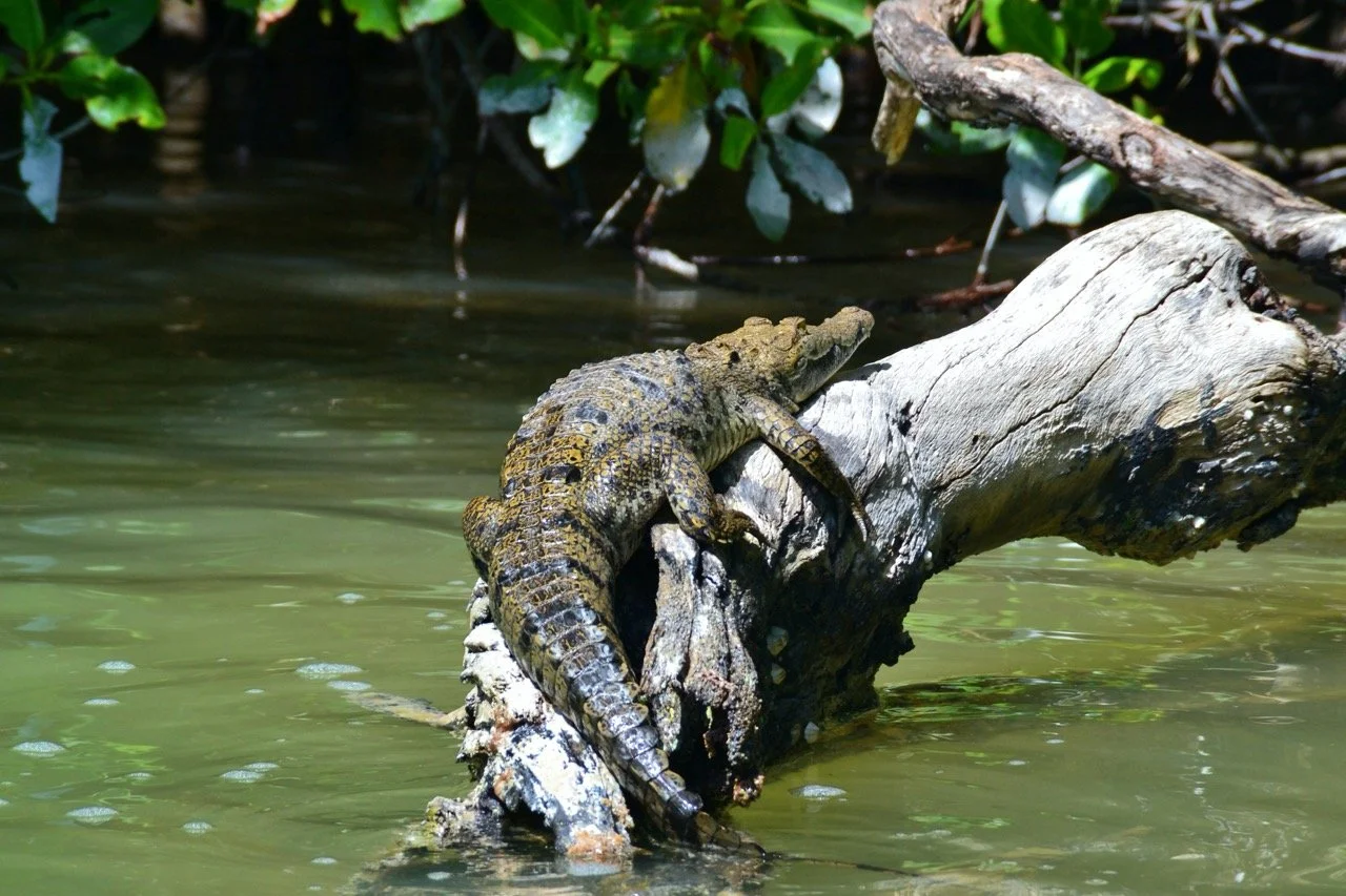 voyage-yucatan-mexique31.jpeg