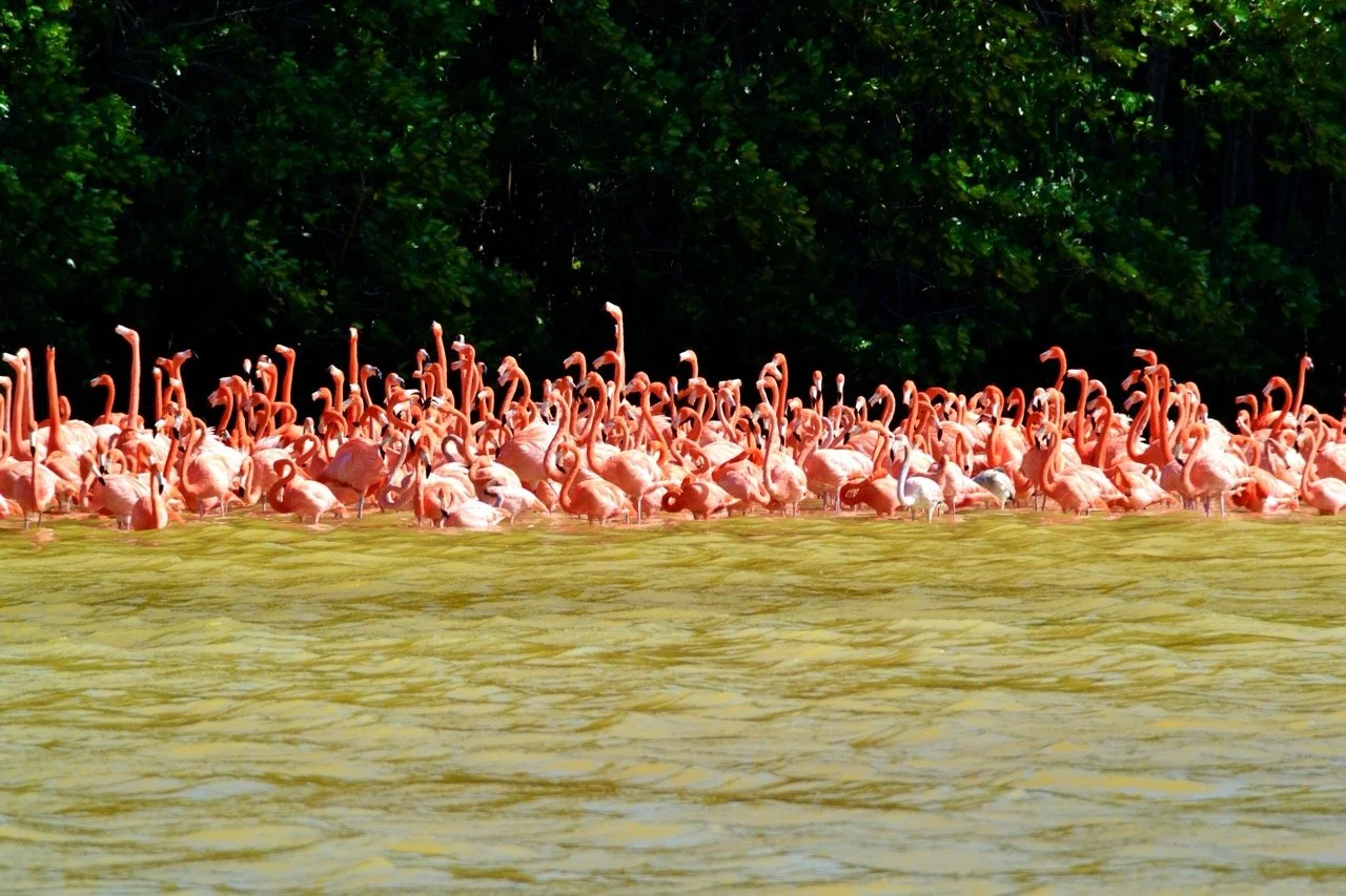 voyage-yucatan-mexique26.jpeg