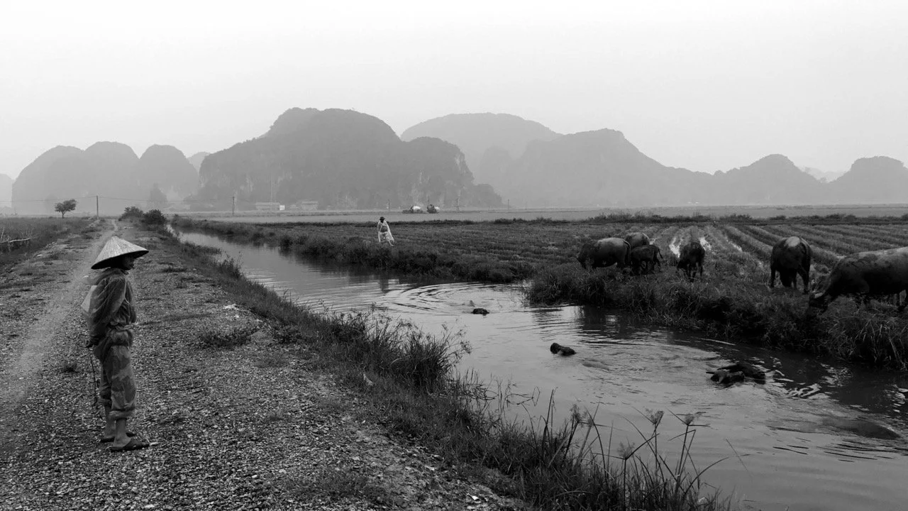 voyage-vietnam33.jpeg