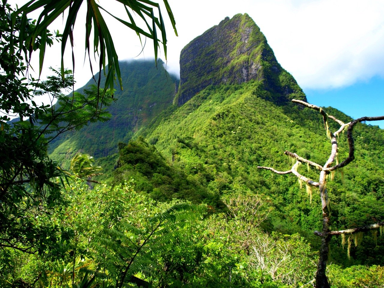 voyage-polynesie-francaise21.jpeg
