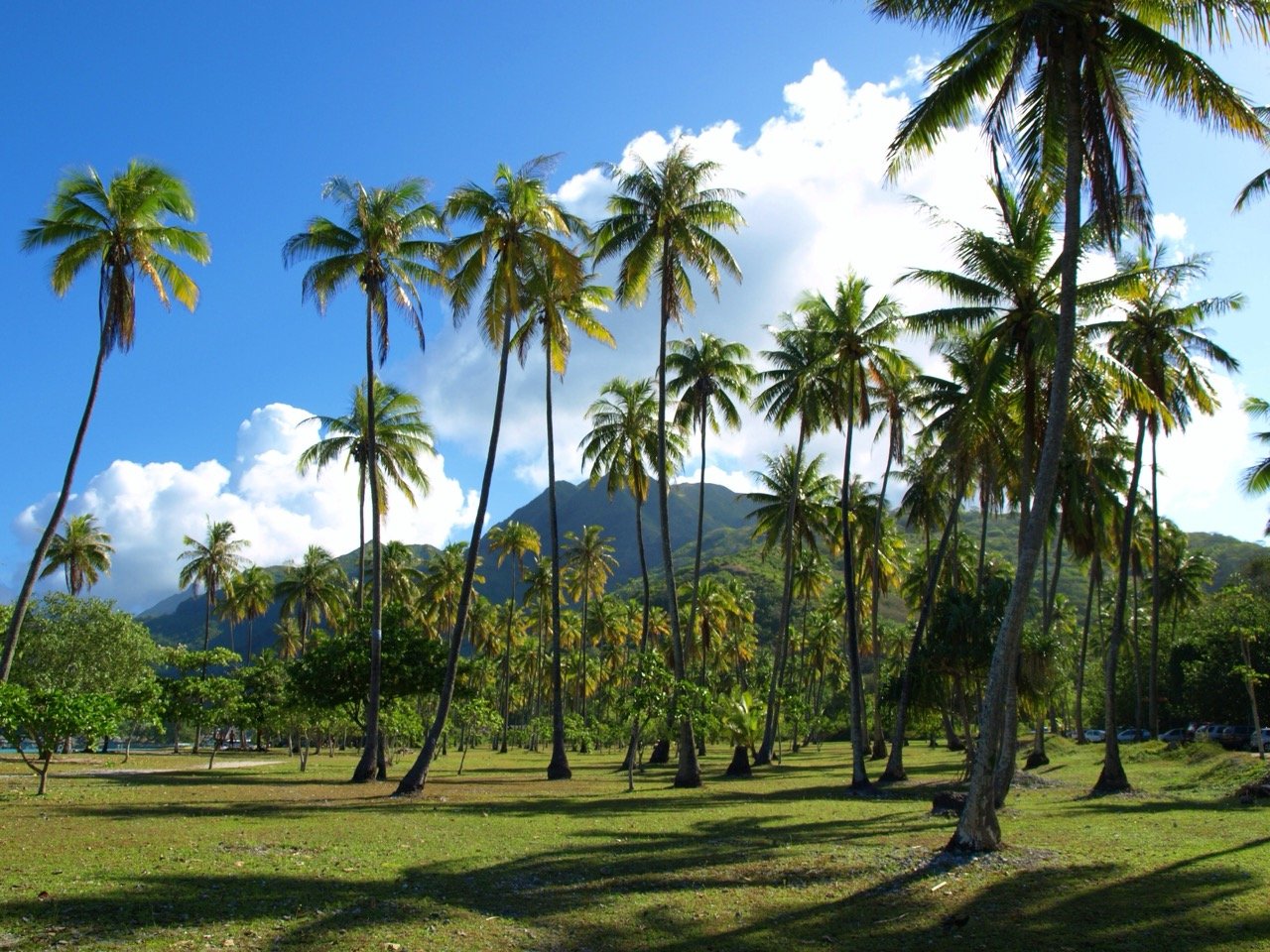 voyage-polynesie-francaise18.jpeg