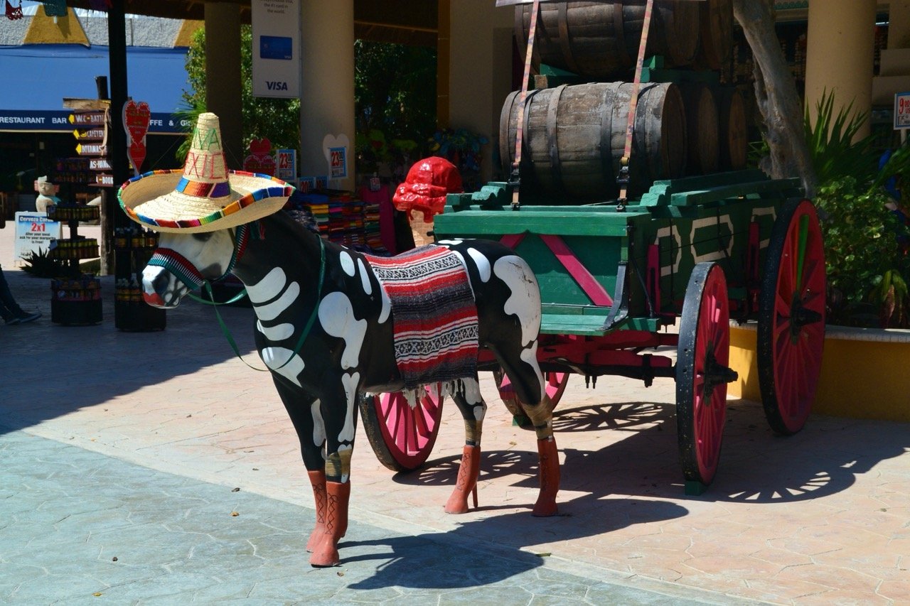voyage-yucatan-mexique32.jpeg