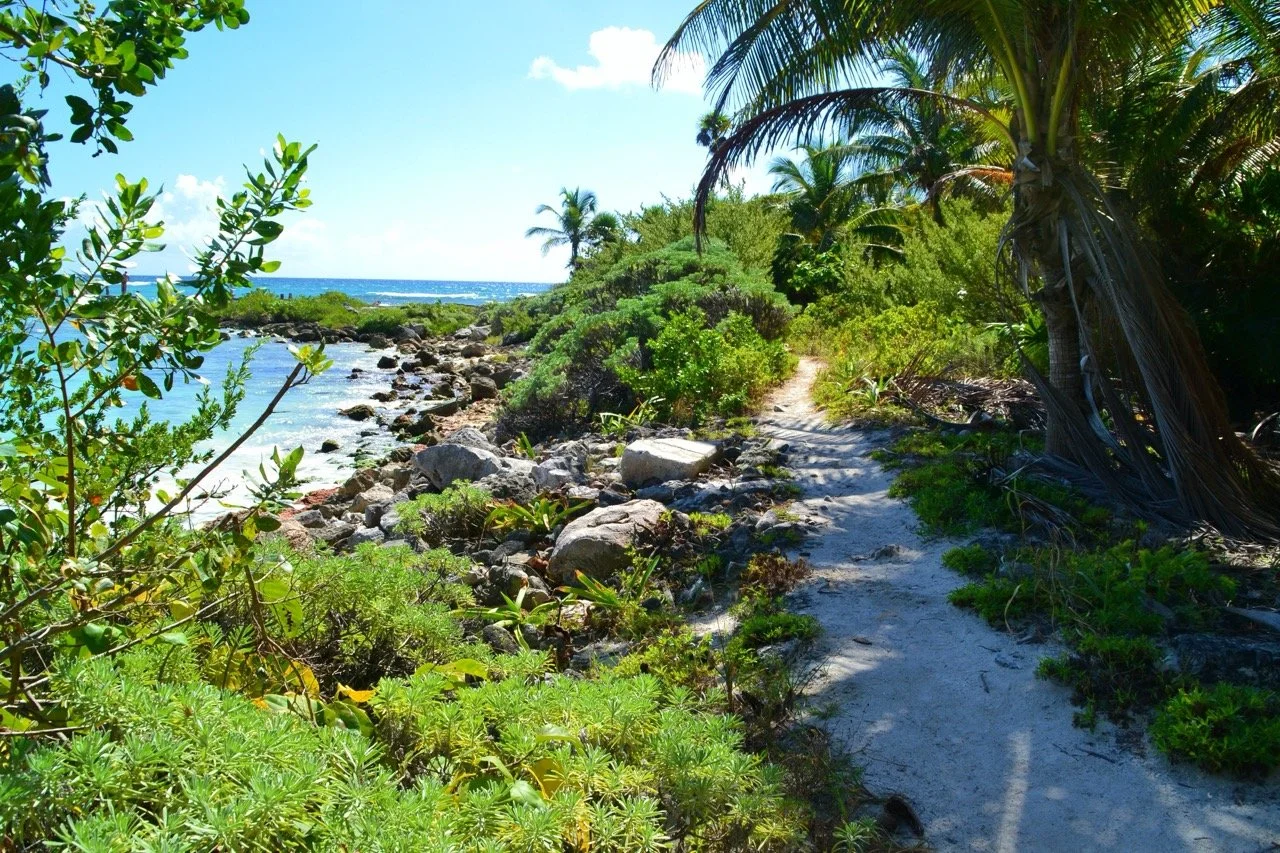 voyage-yucatan-mexique3.jpeg