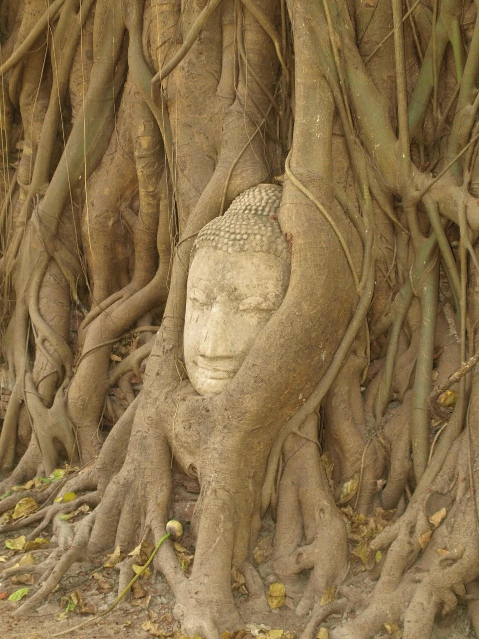 voyage-Thailande19.jpeg