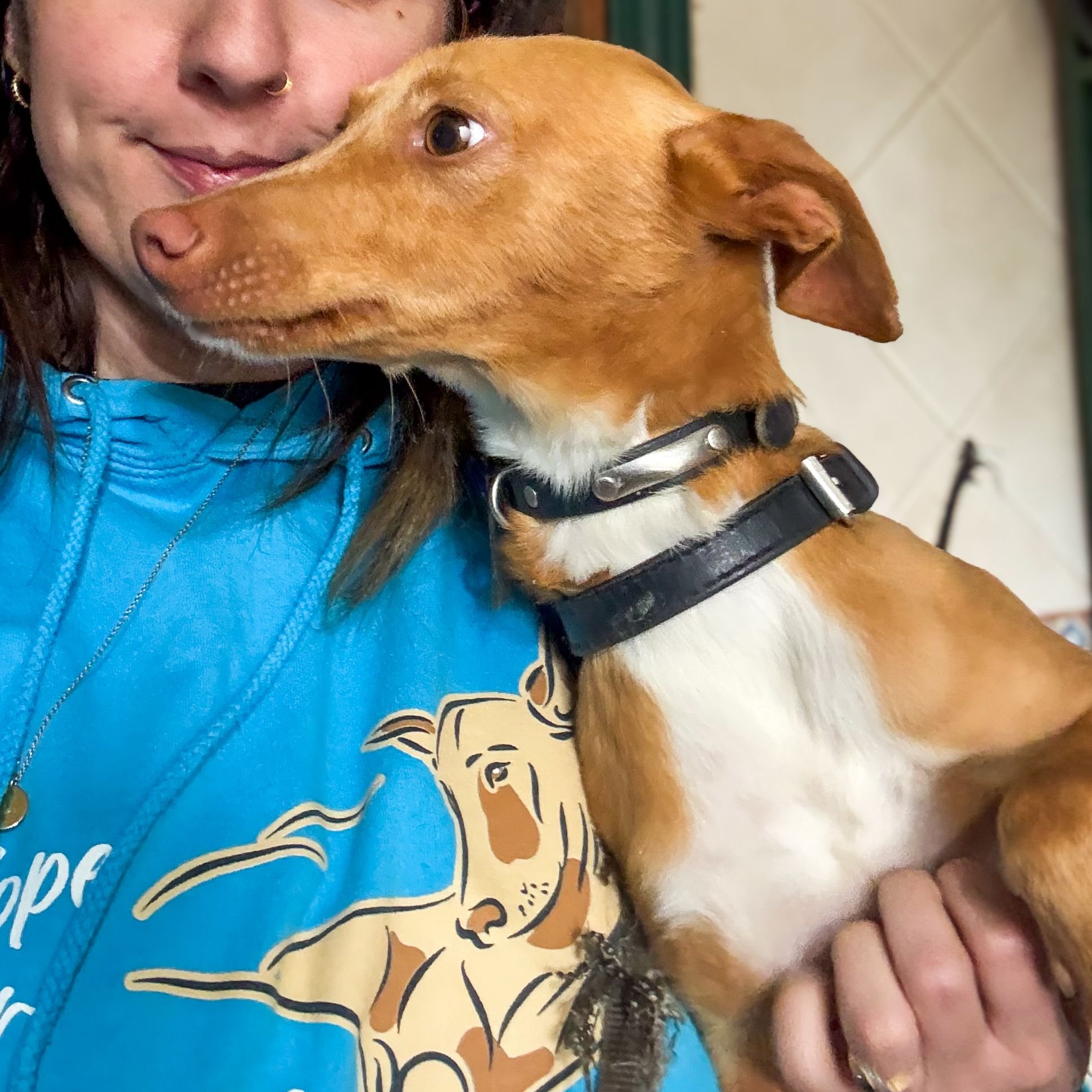 WhatsApp Image 2026-02-28 at 22.26.53.jpeg