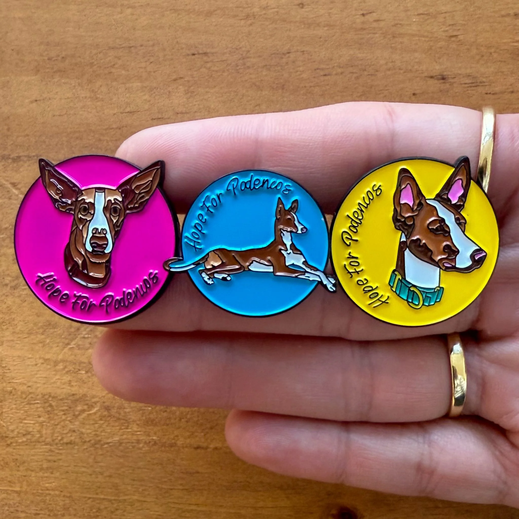 WhatsApp Image 2026-02-28 at 20.41.34.jpeg (Copy) (Copy)